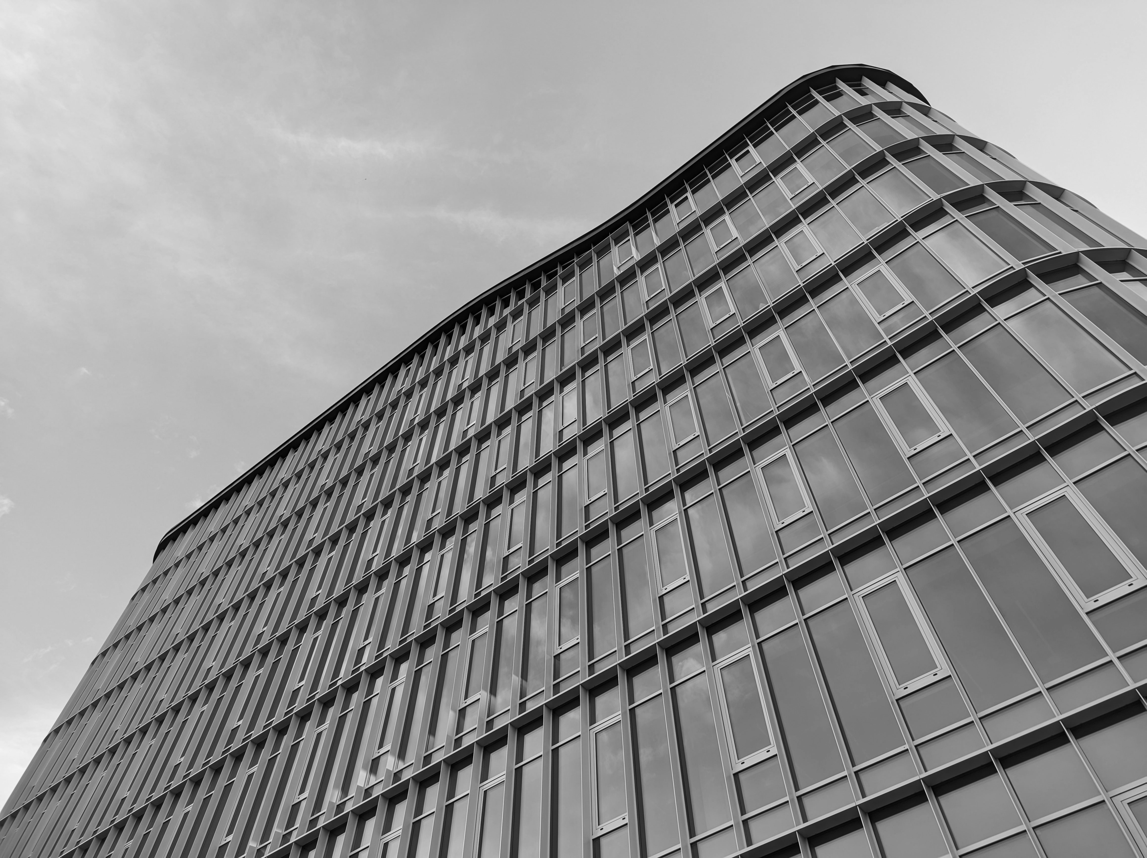 Photo by positivetourettes