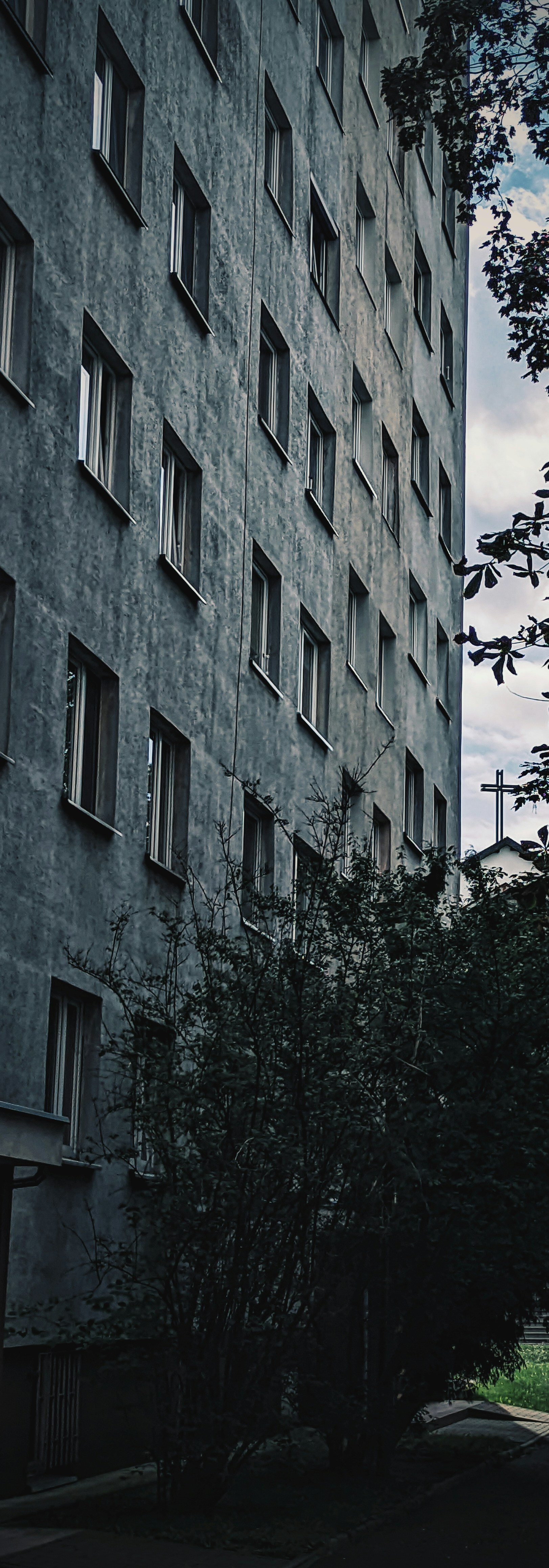 Photo by positivetourettes