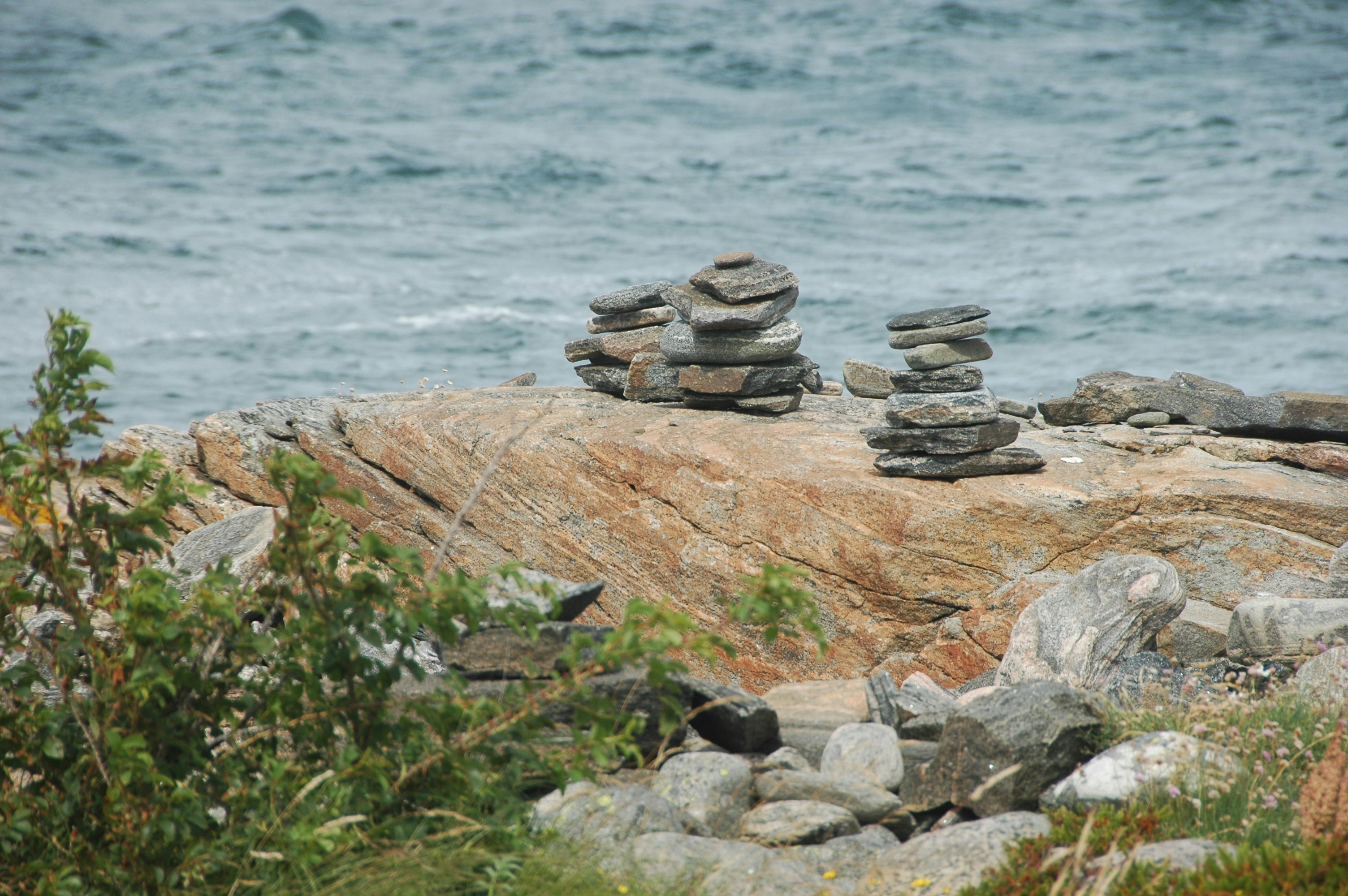 photo-1723905285650-2e2312924a9c?ixid=M3