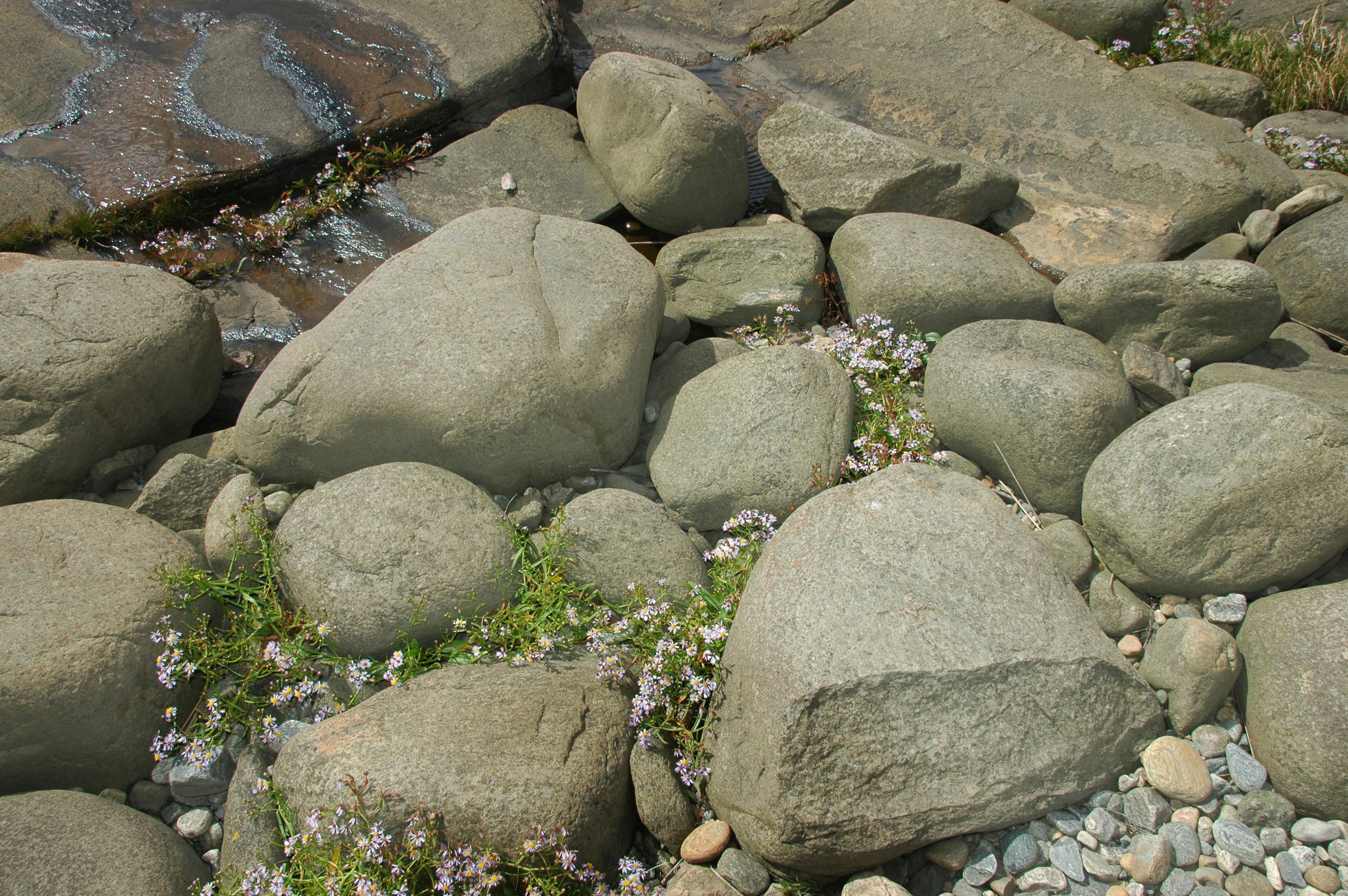 A bunch of rocks that are next to a body of water
