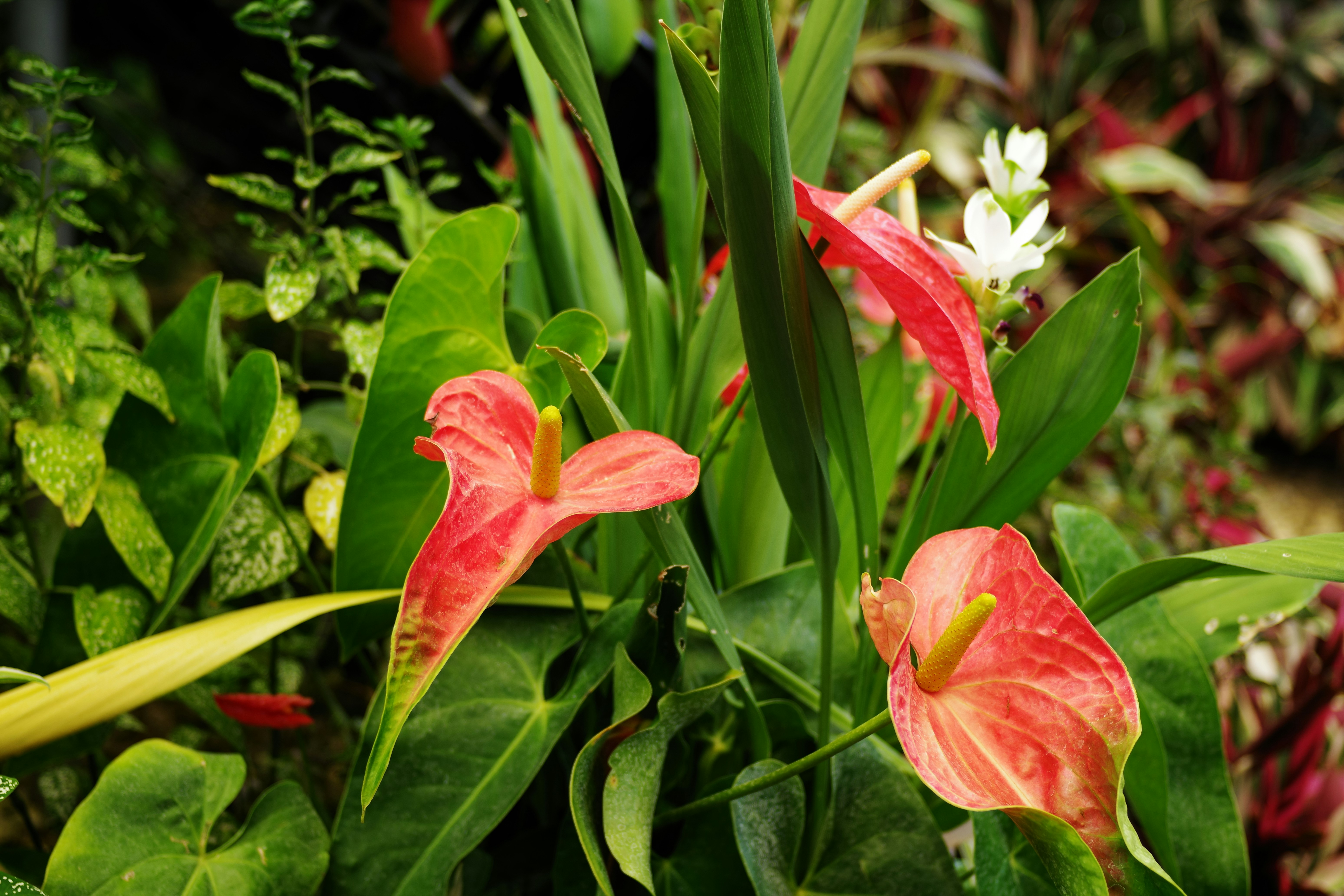 省錢爆！達人公開「無痛居家改造術」，小資族也能住豪宅！💰