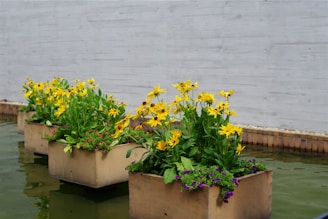 Container-Based Layout