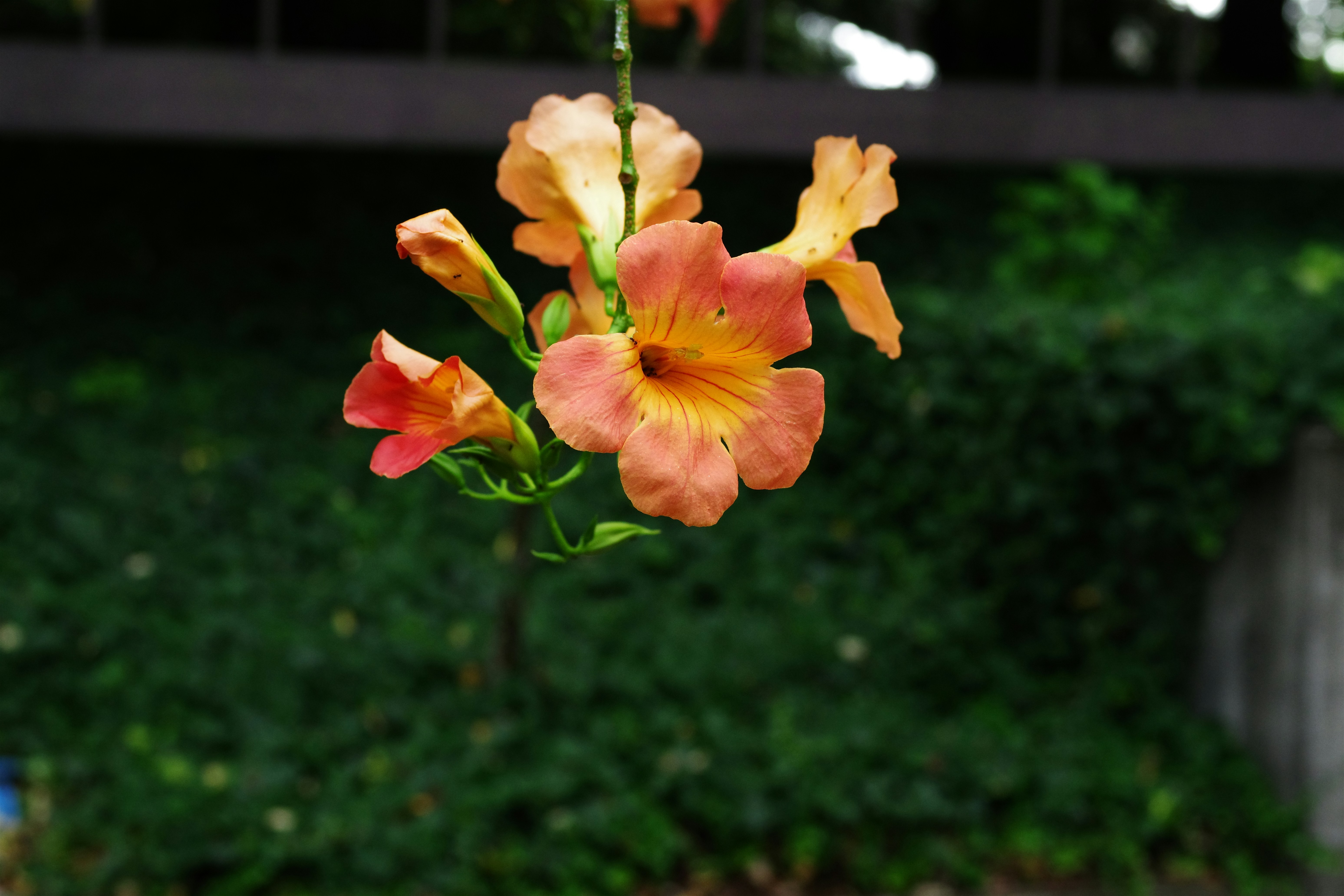 媽呀！你家肯定藏了這些，難怪財運一直來！