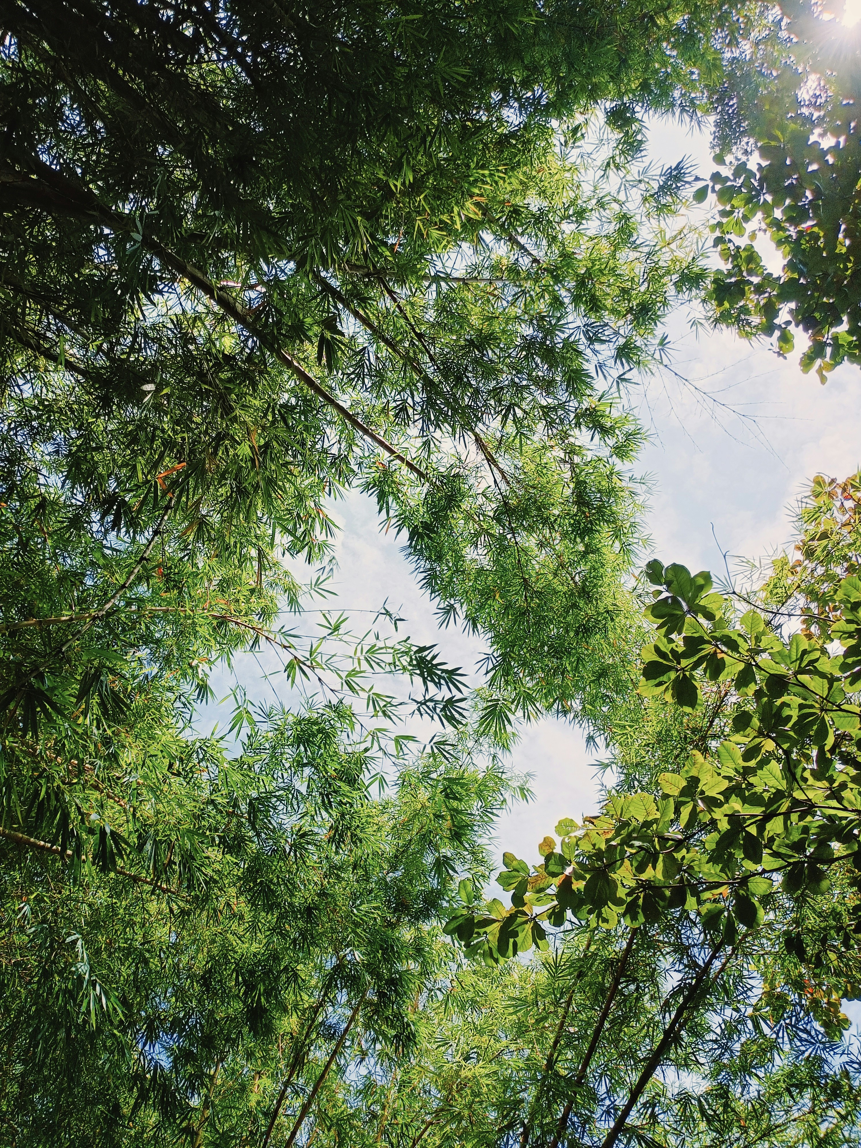 Photo by nanduvasudevan