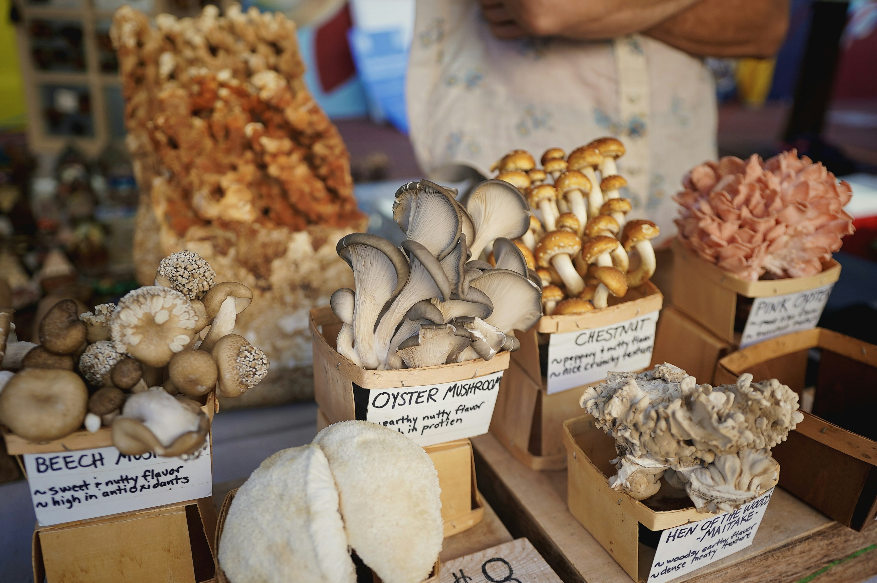 Photo by minimdesignco