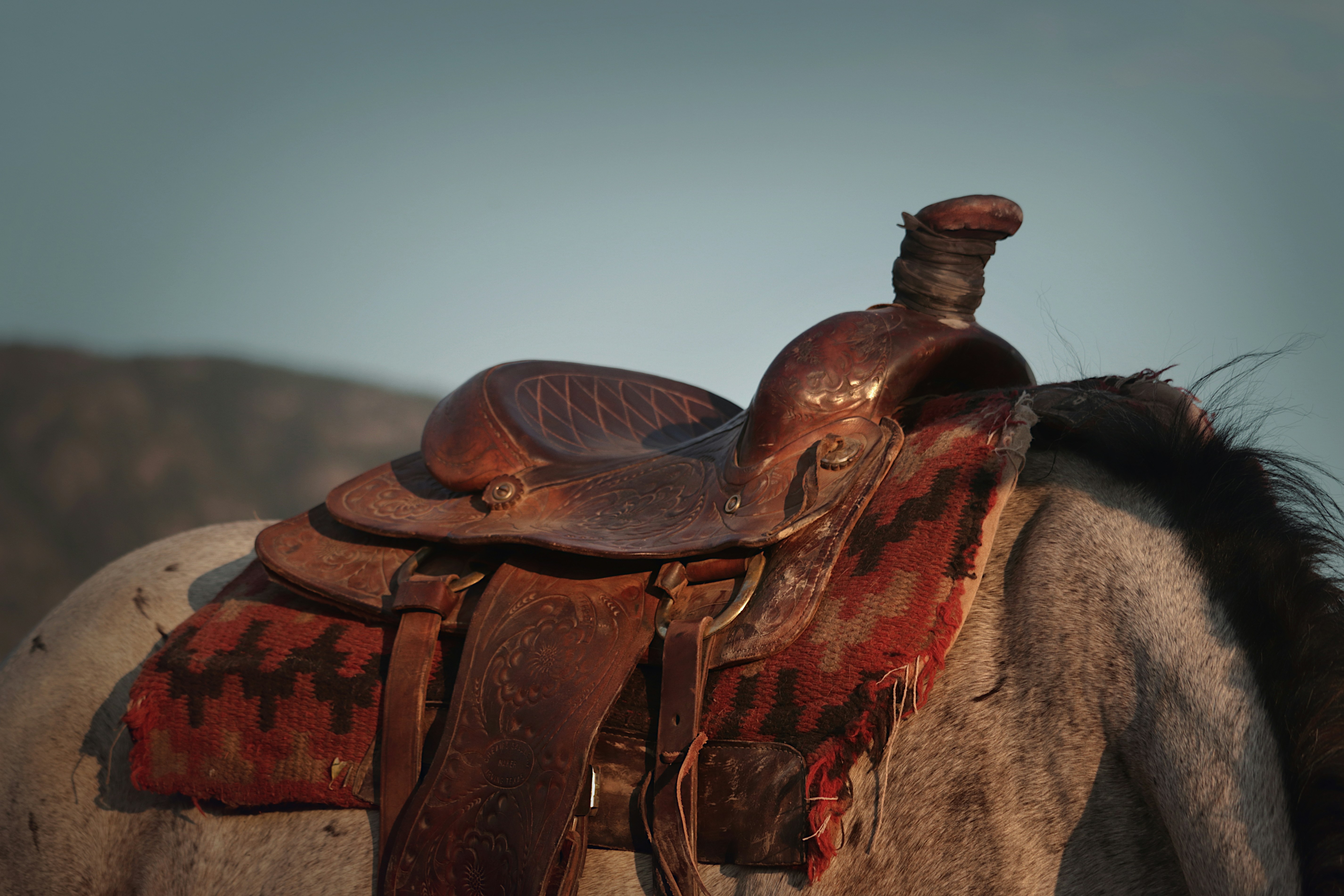 English vs. Western Riding: Same Love, Different Saddles