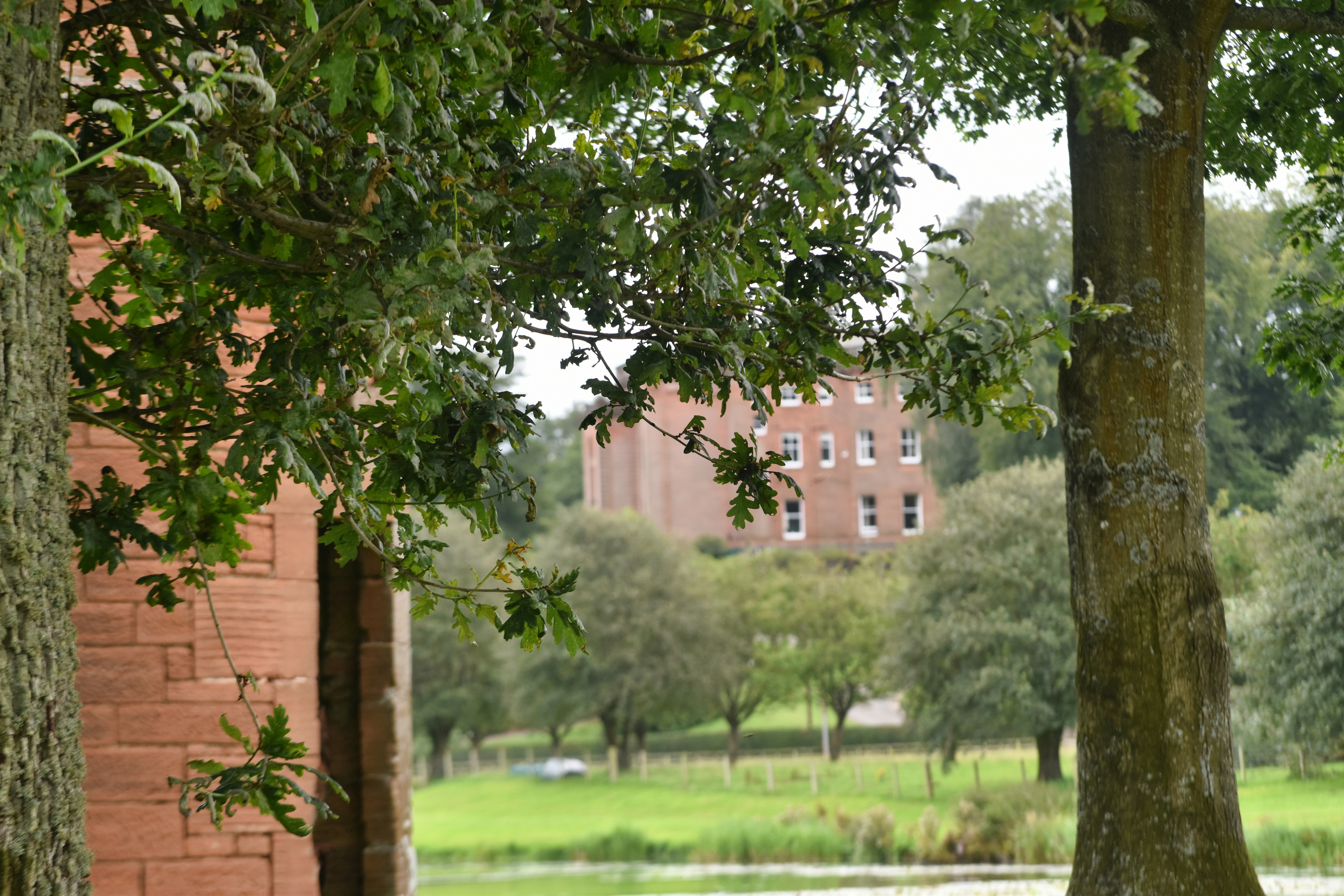 Photo by andrew_hall