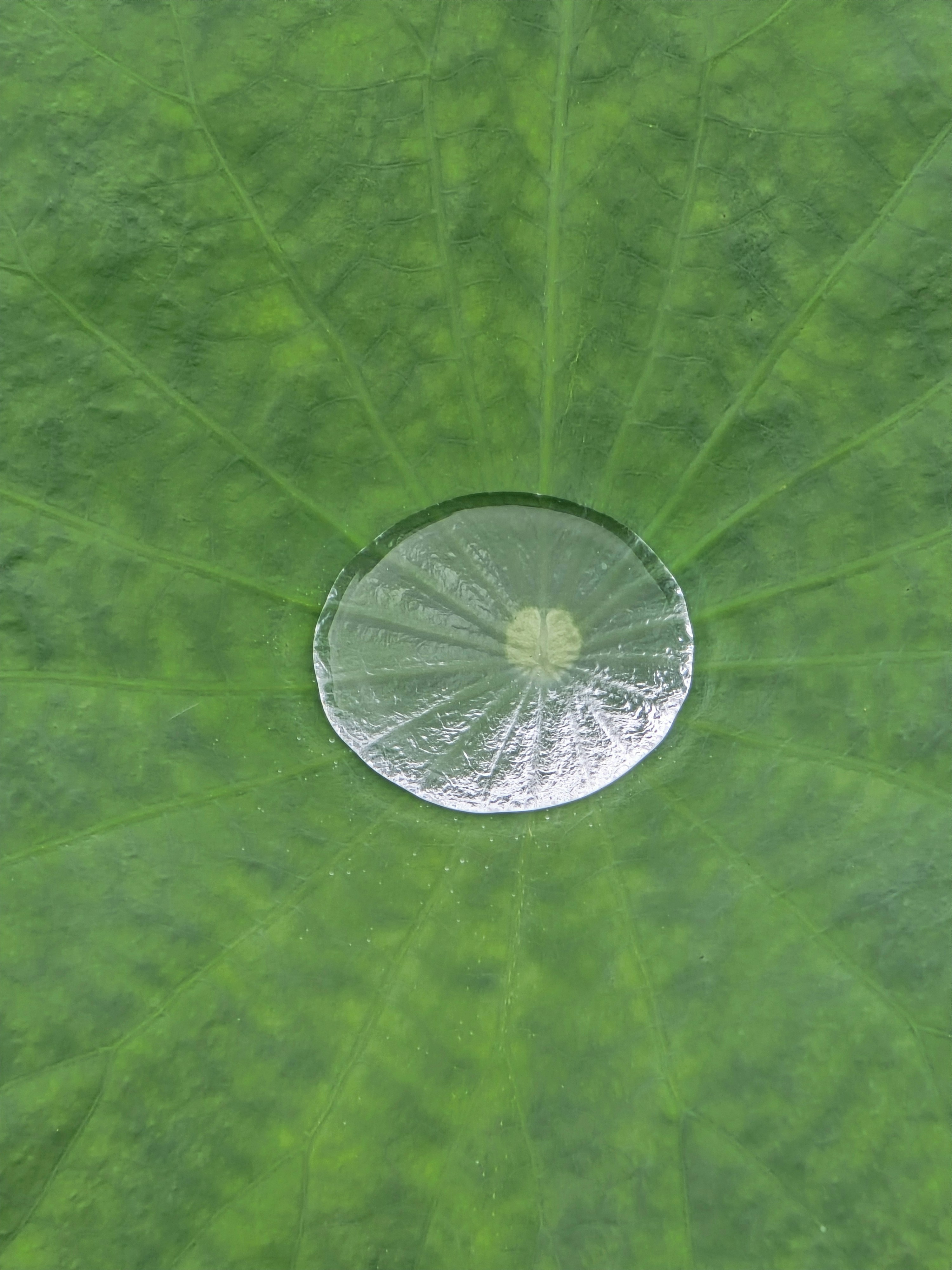 How Puberty Affects MS in Kids: Key Findings You Should Know