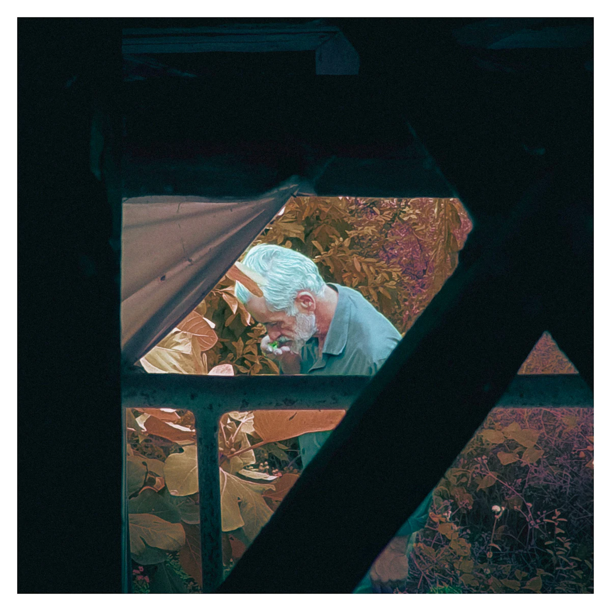 An older man alone at a window in warm afternoon light, turned away from the room