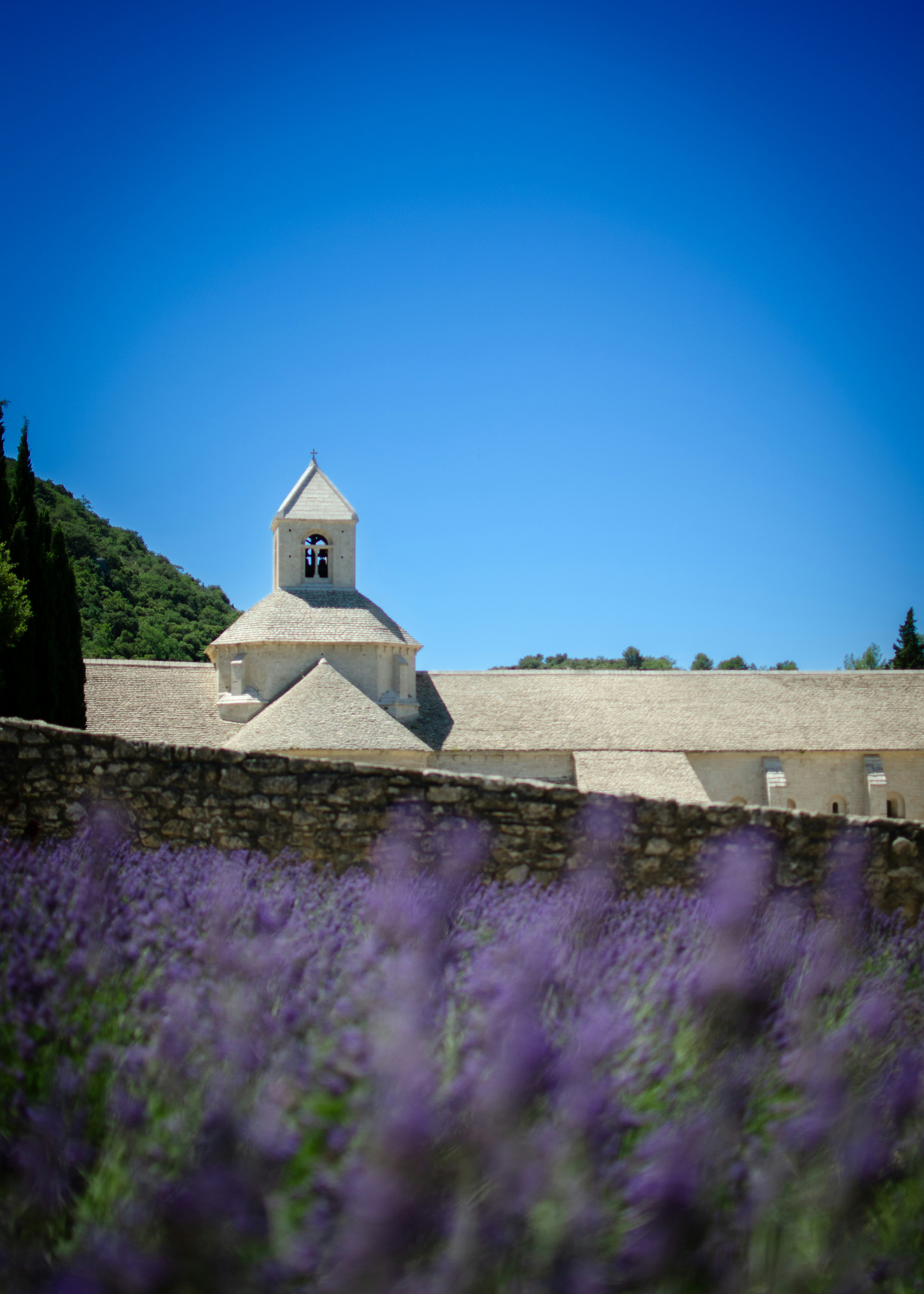 Ein Gebäude mit einer Uhr auf der Spitze neben einem Blumenfeld