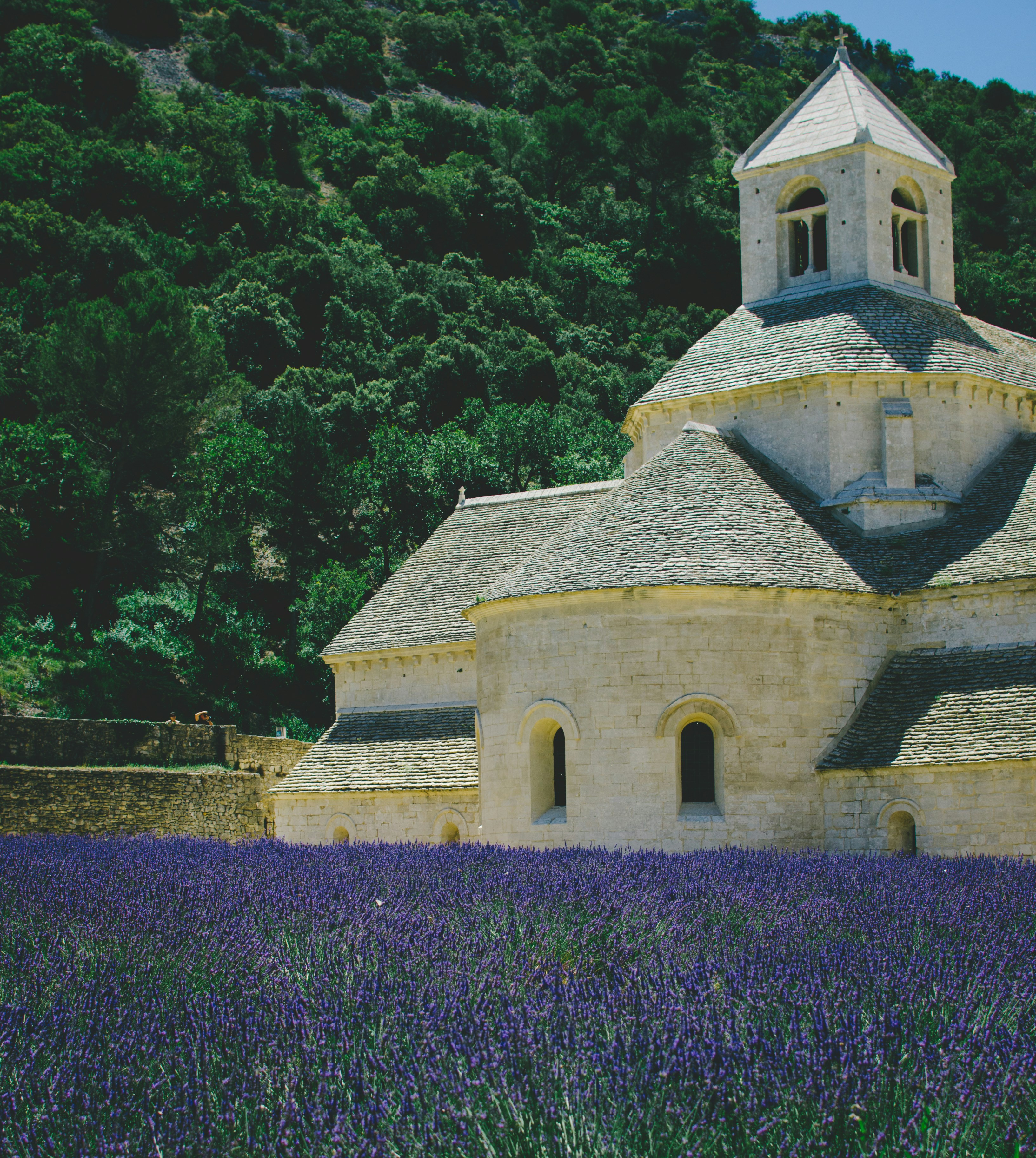Eine Kirche, umgeben von einem Lavendelfeld