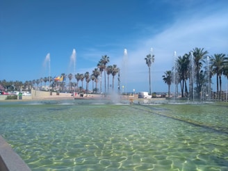 A water fountain with palm trees in the background