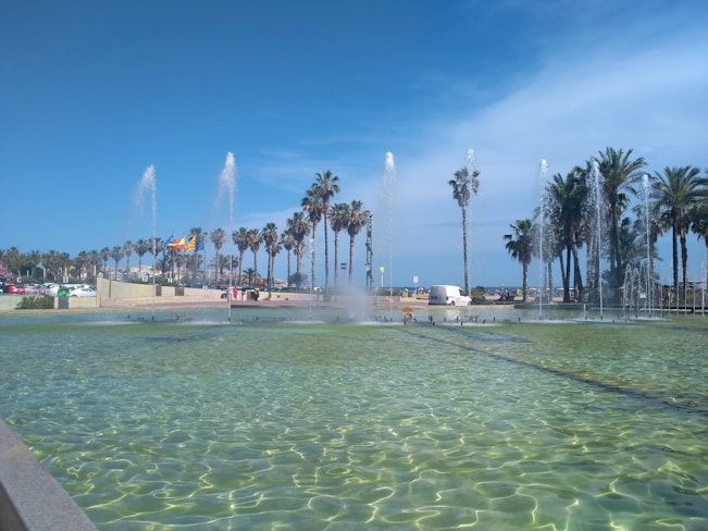 A water fountain with palm trees in the background