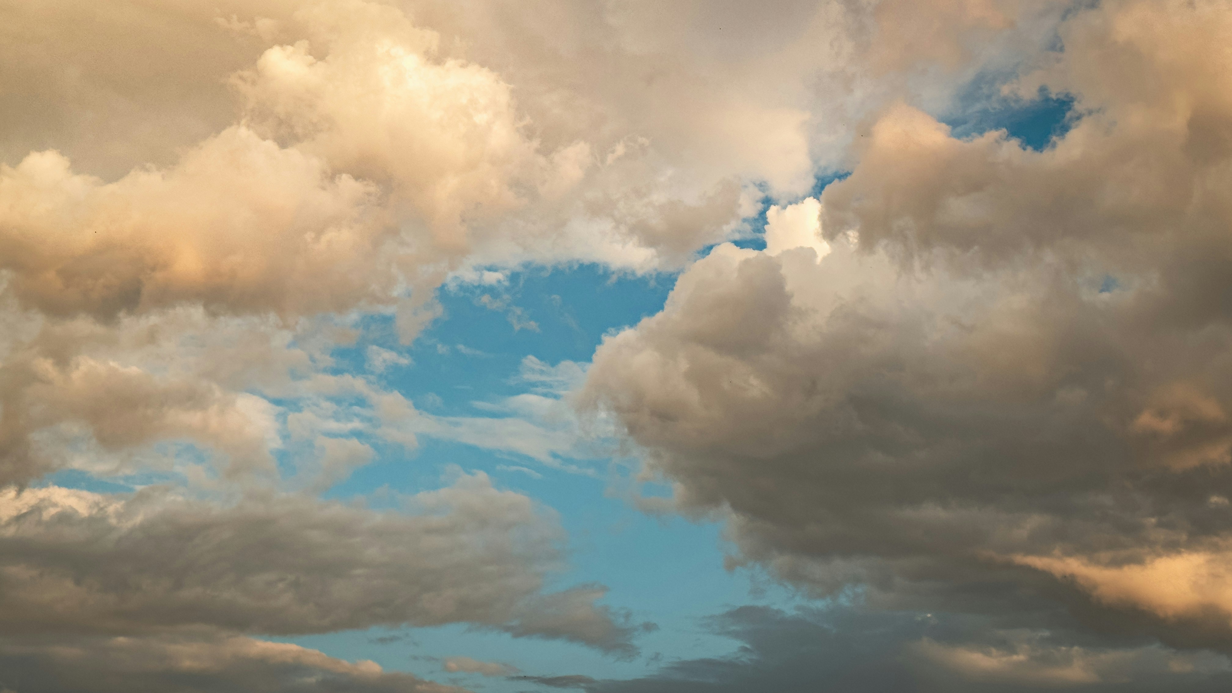 Photo by shutter_speed_