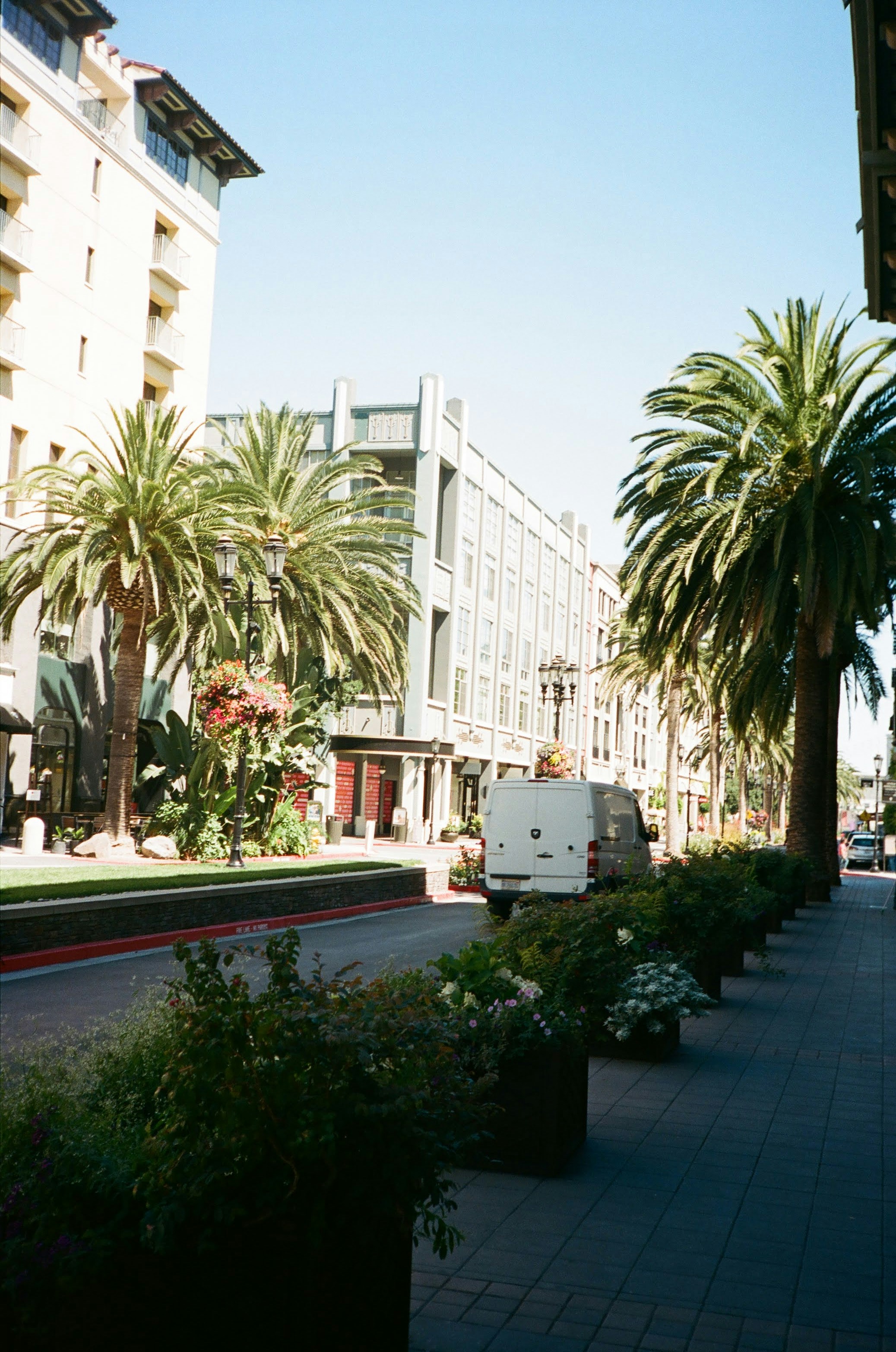 Photo by samuelyongbo