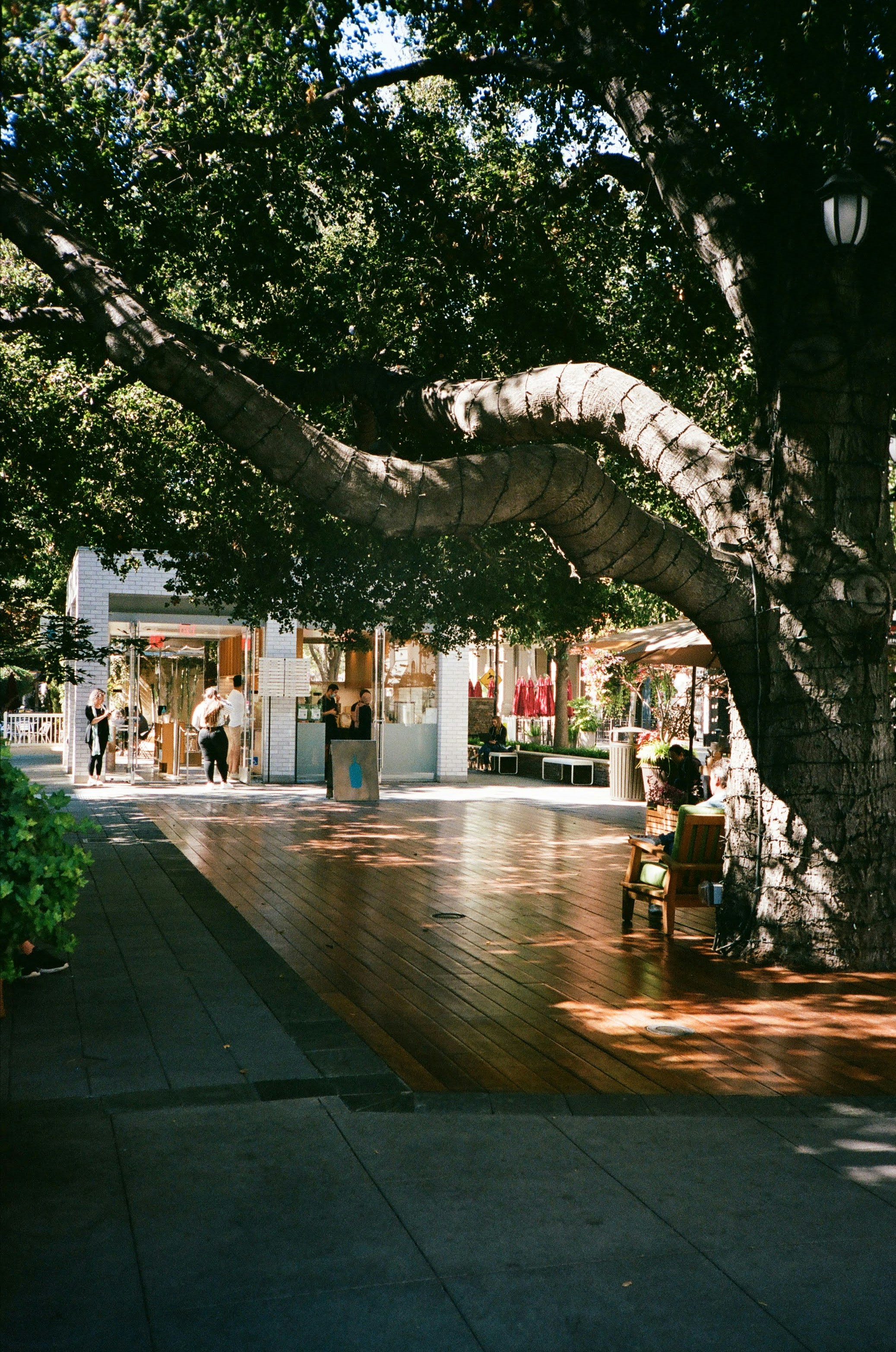 Photo by samuelyongbo