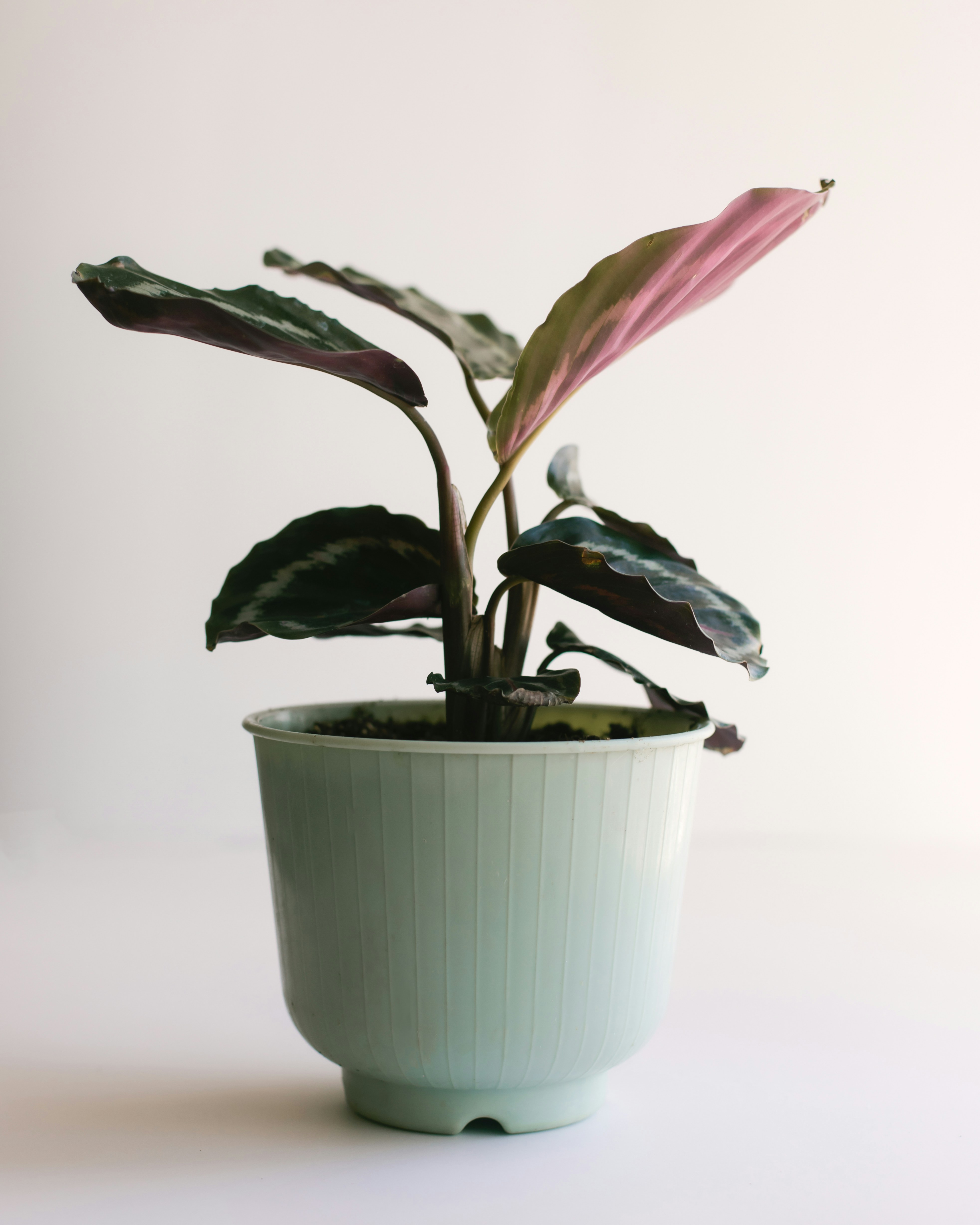 Photo by sixteenmilesout