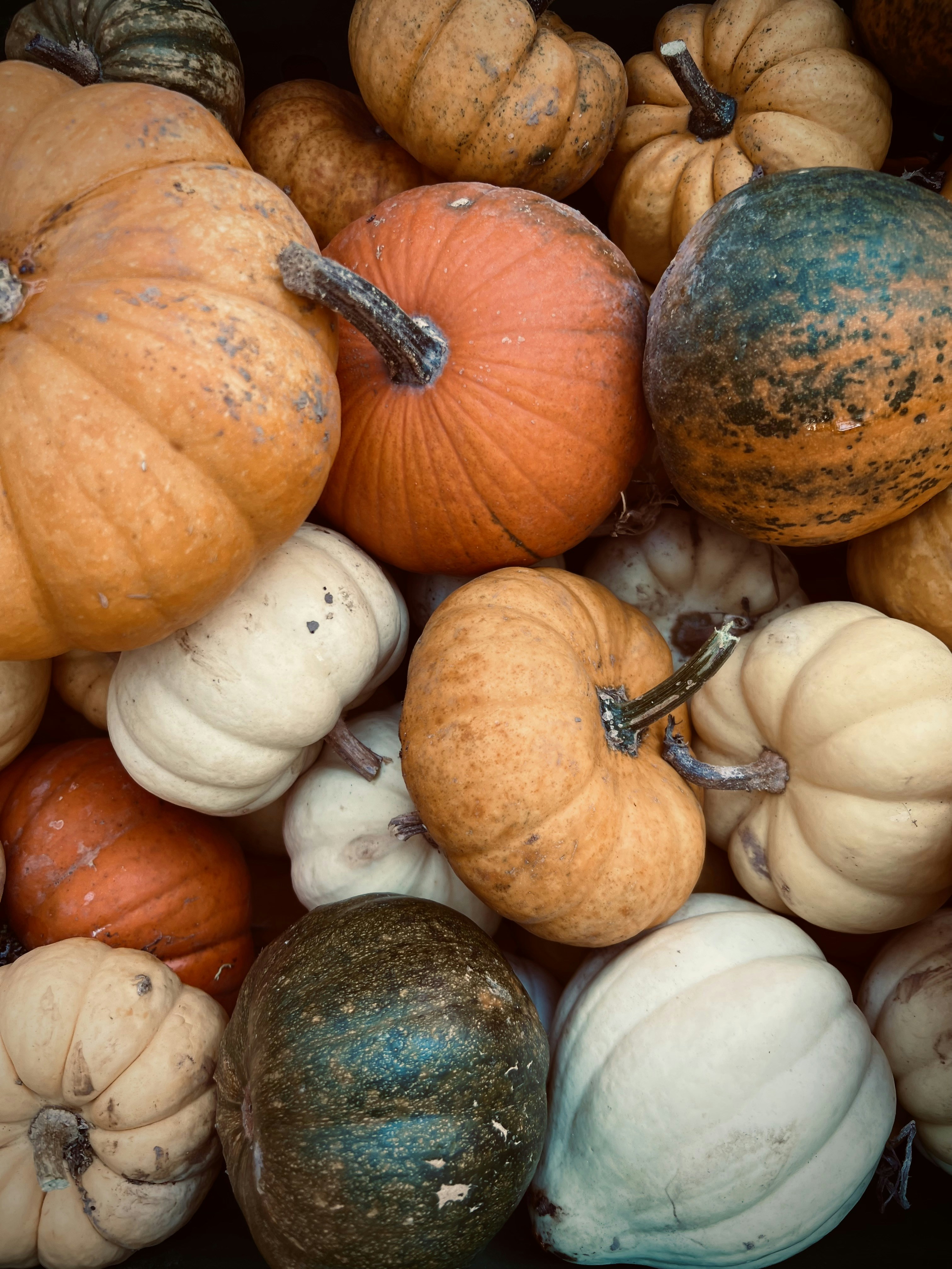 Photo by natalieagatha