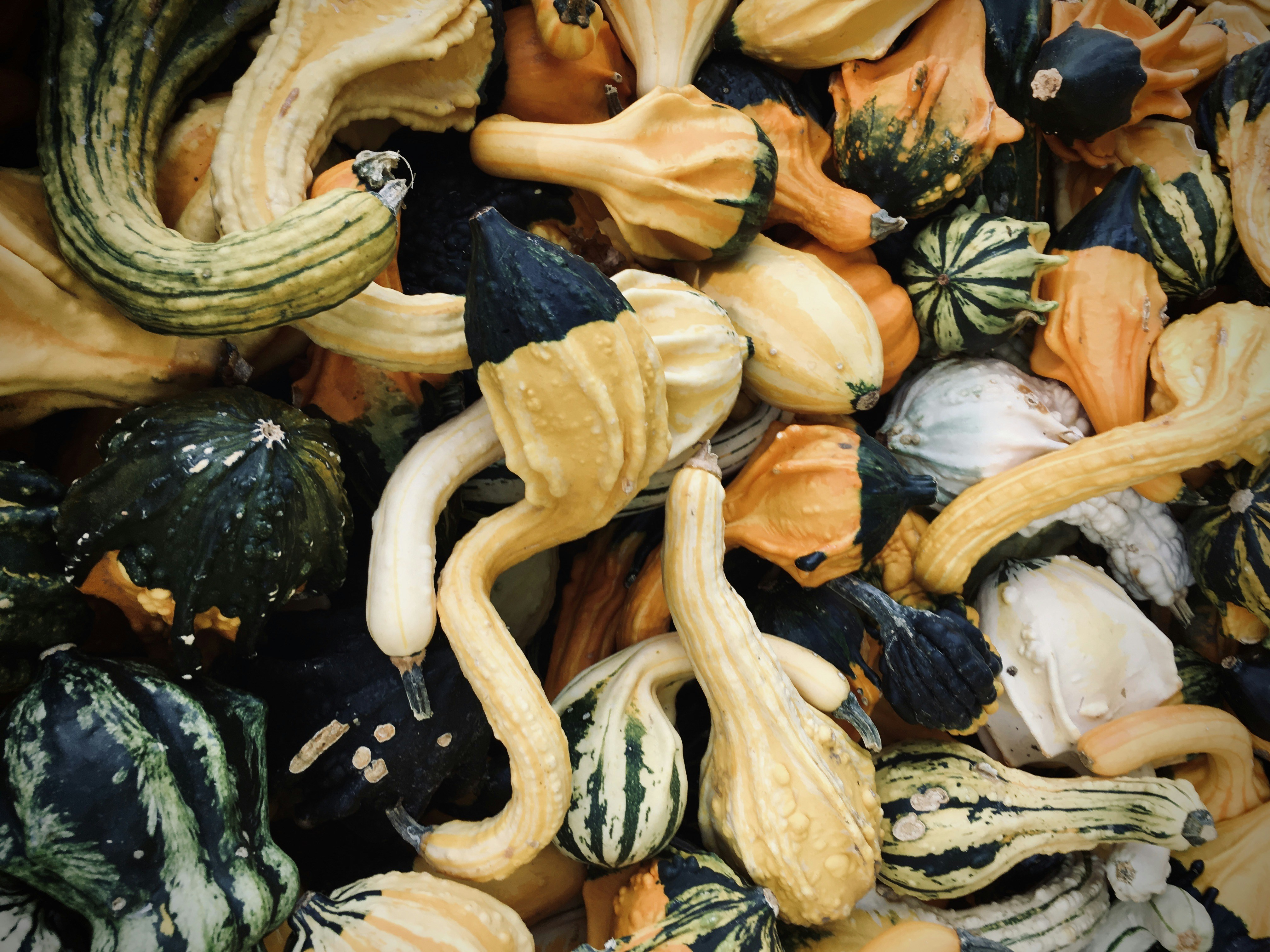 A pile of assorted gourds sitting on top of a table