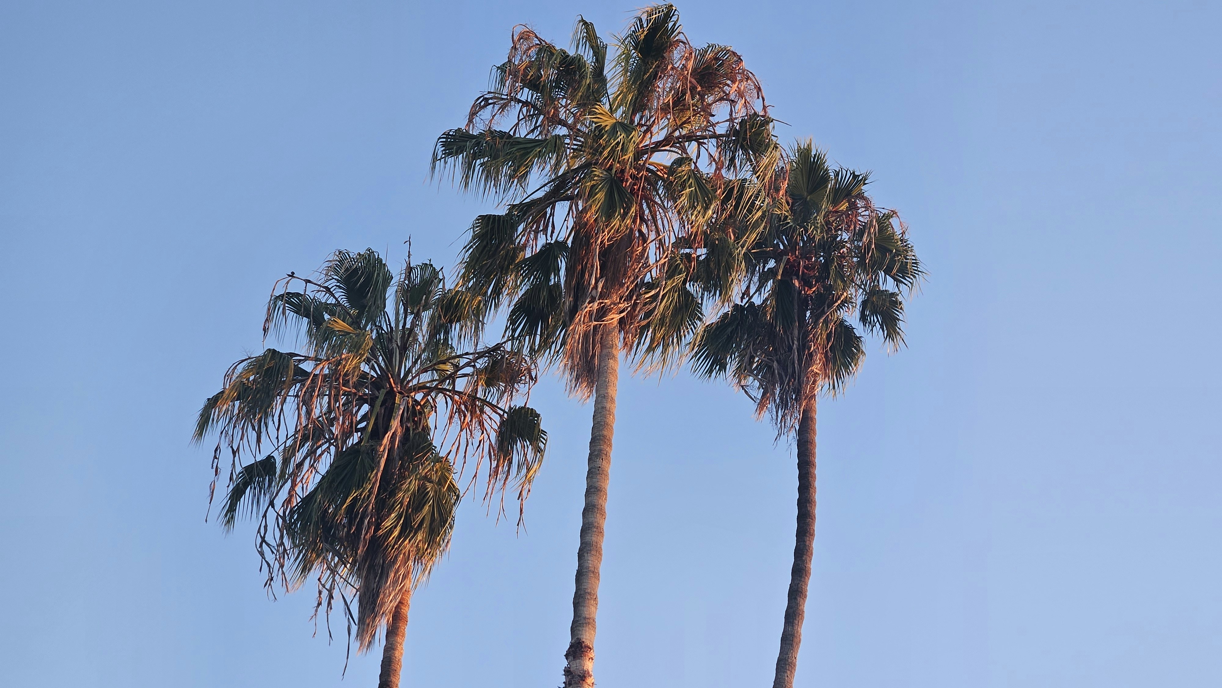 Photo by mattarnster