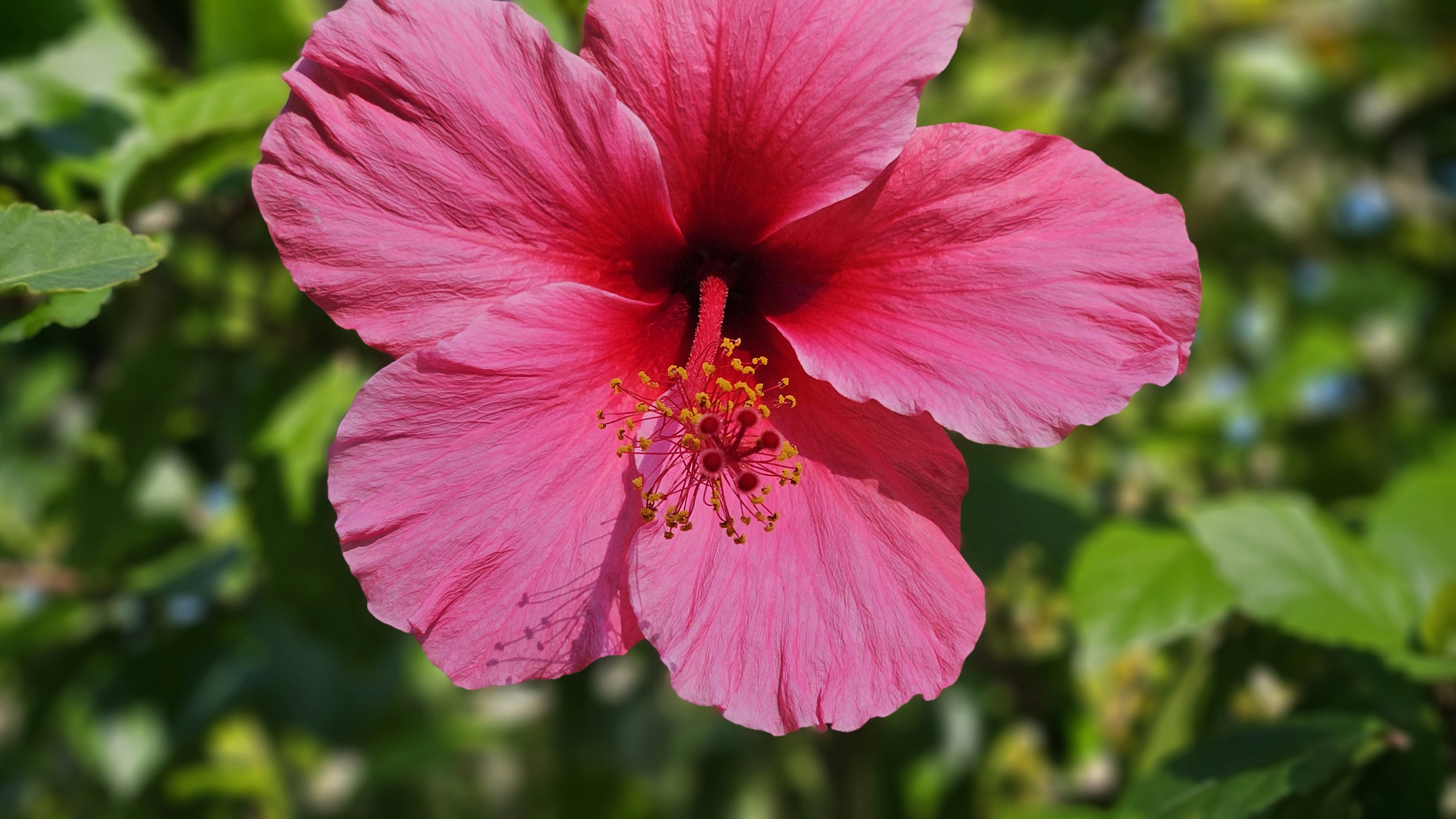 Photo by mattarnster