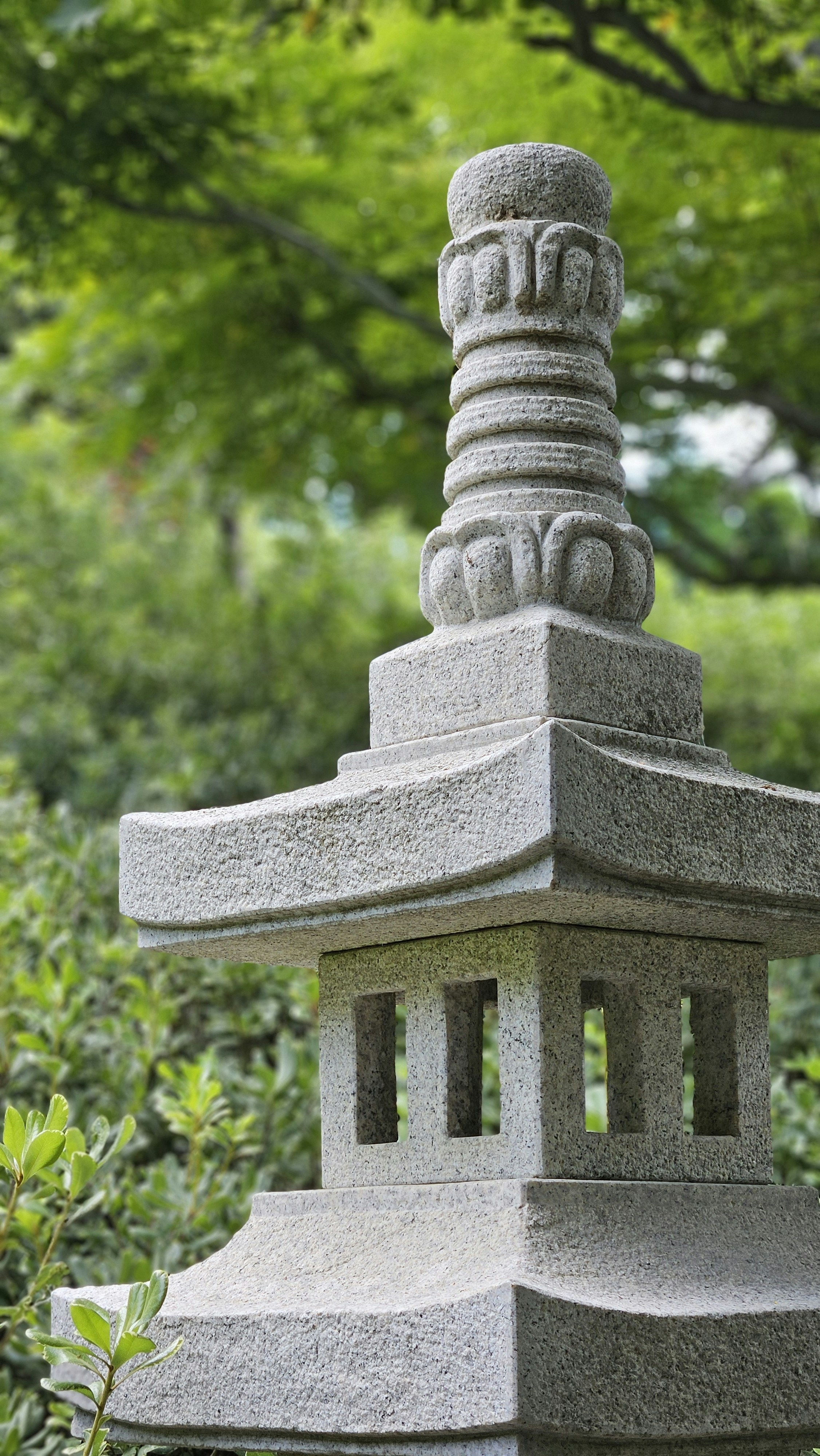 Photo by mattarnster