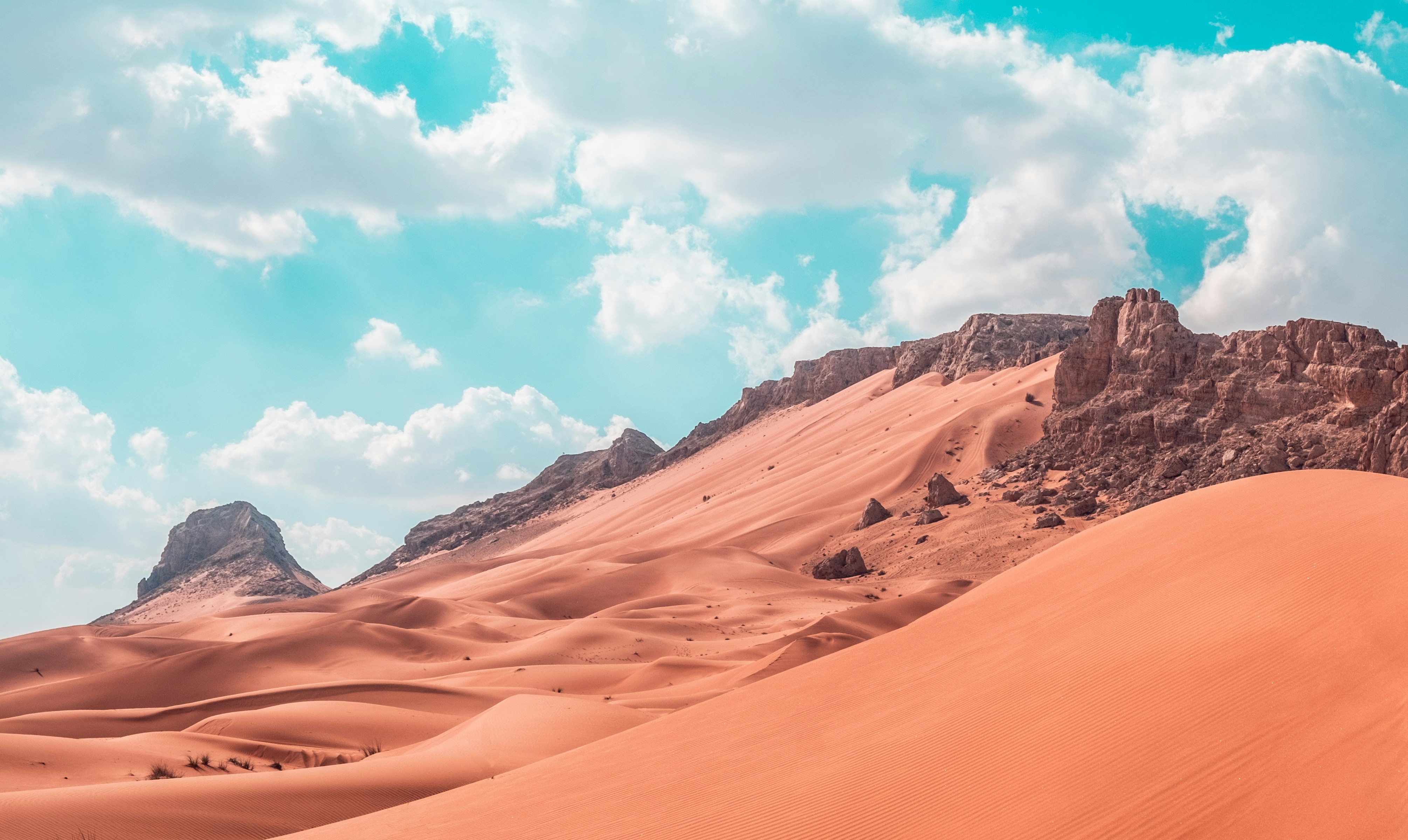 Photo by mo_design_3d