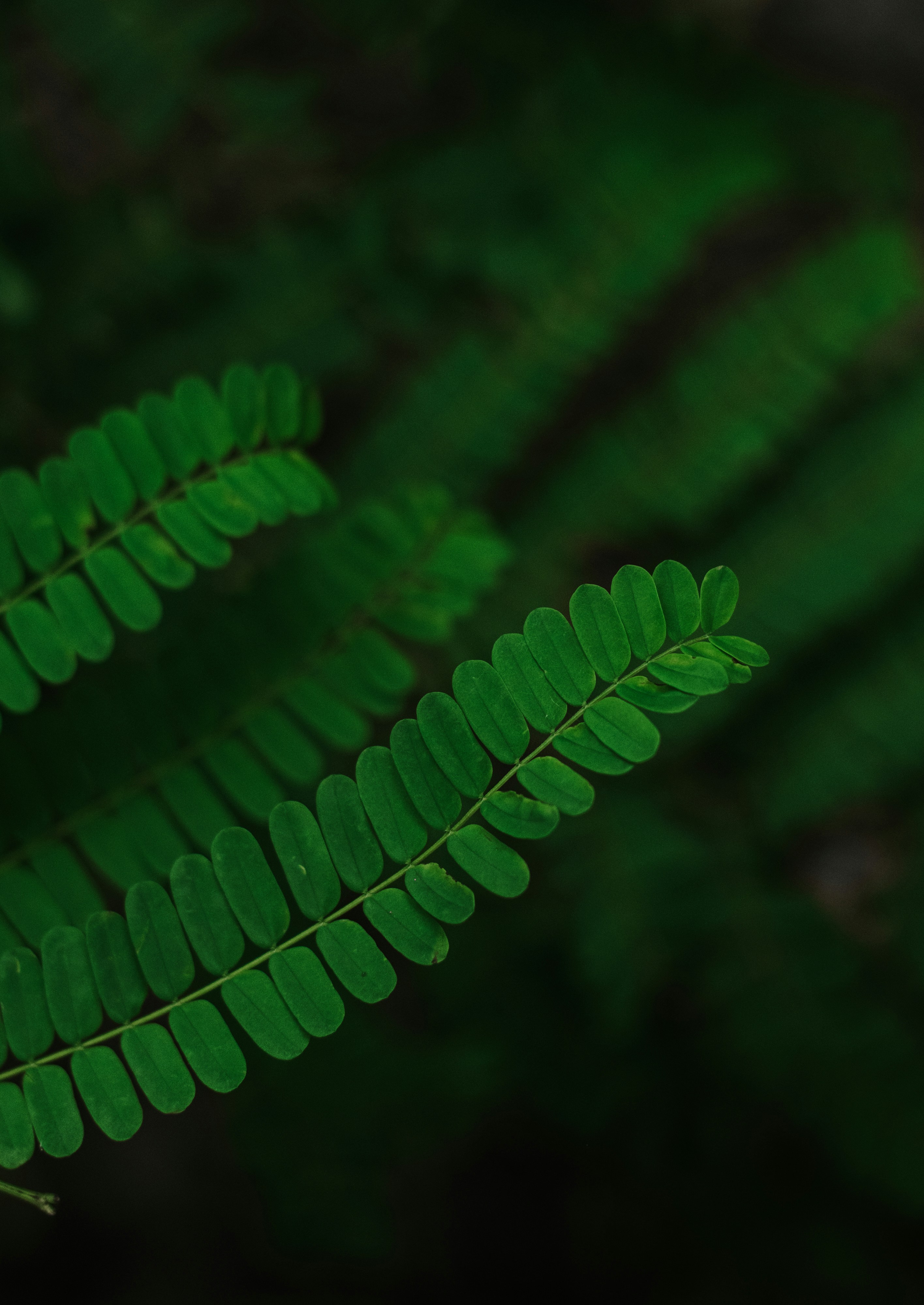 Photo by sagarkulkarni