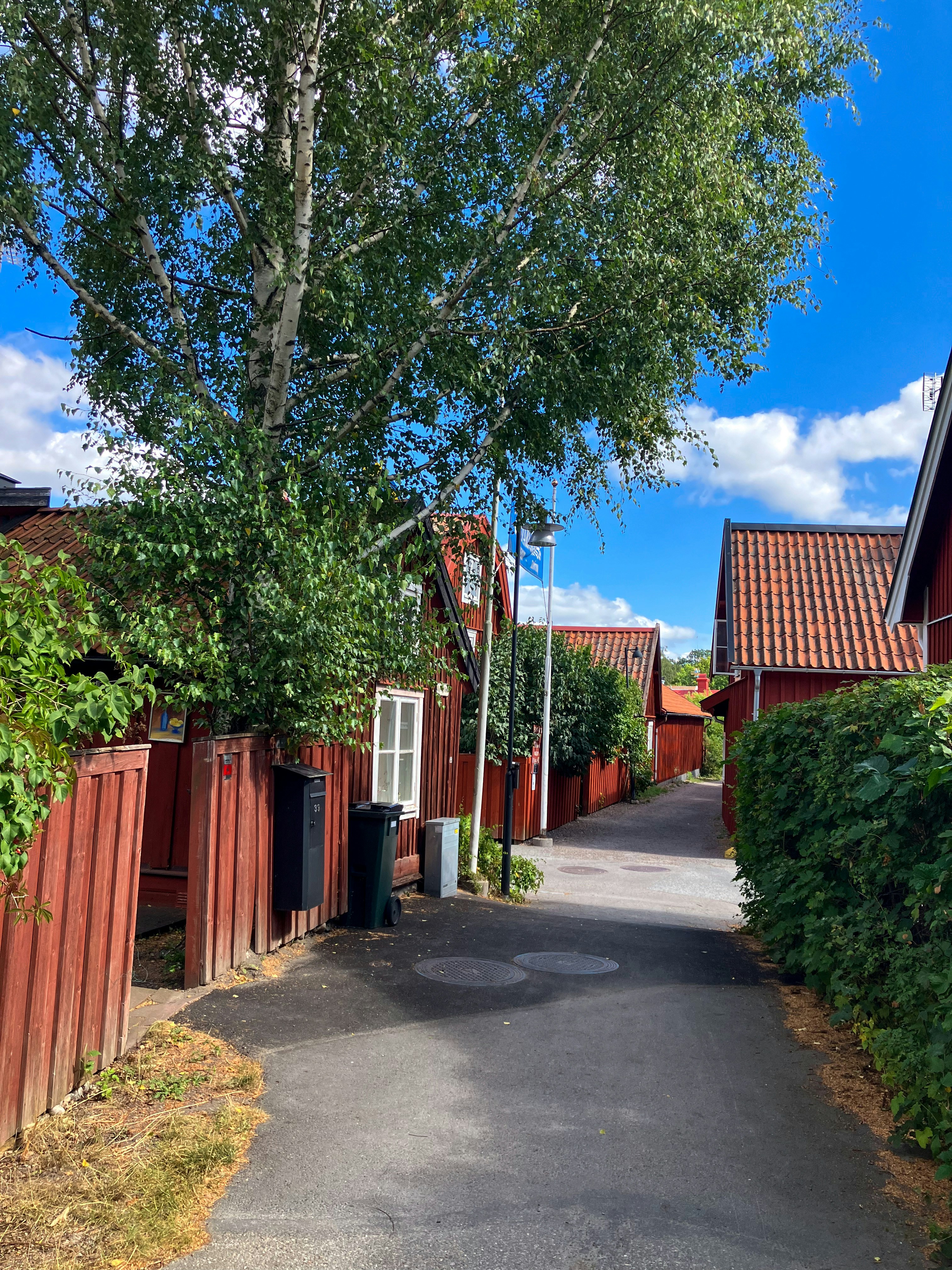 A narrow street with a red fence and trees