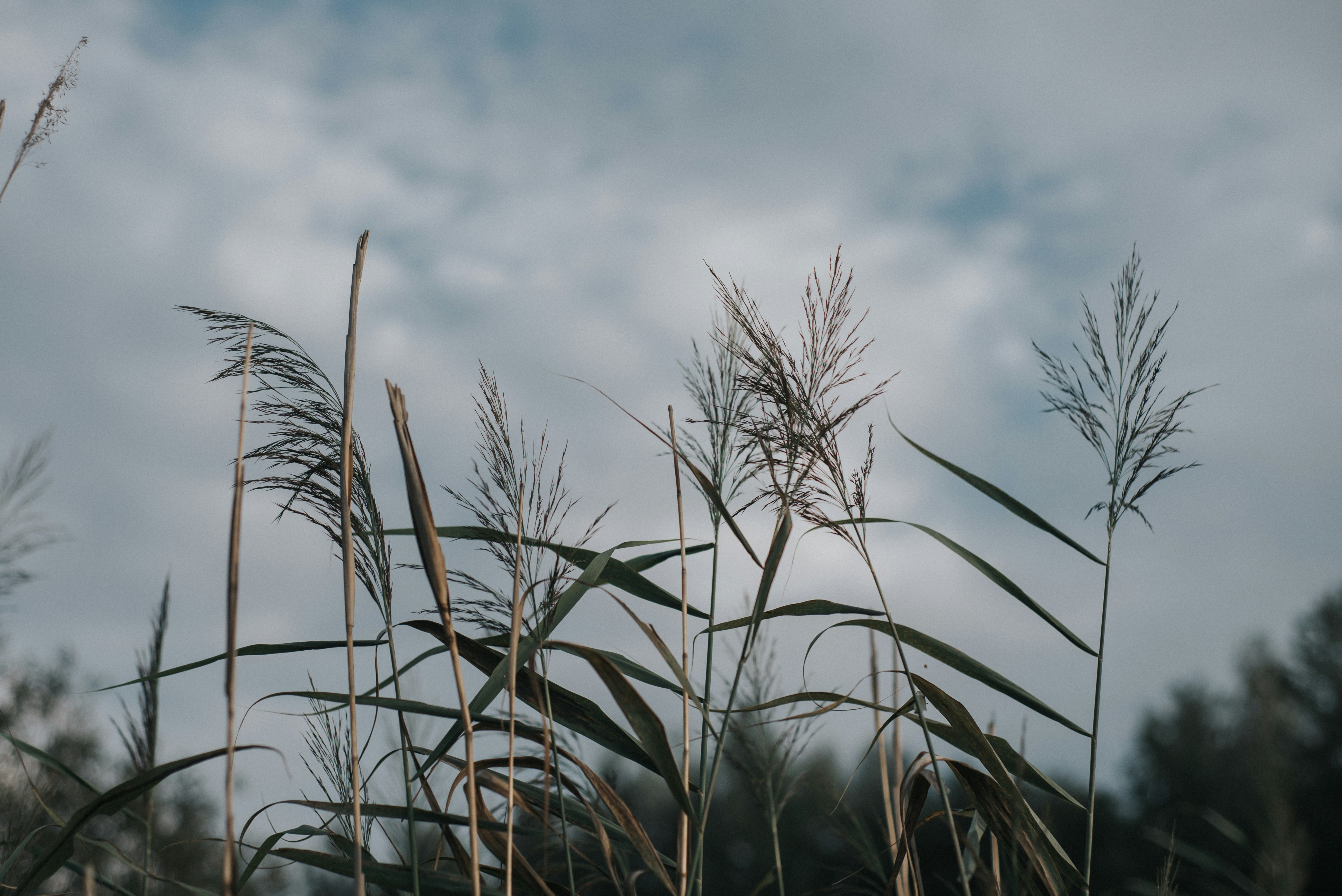 Photo by domowe_ustronie