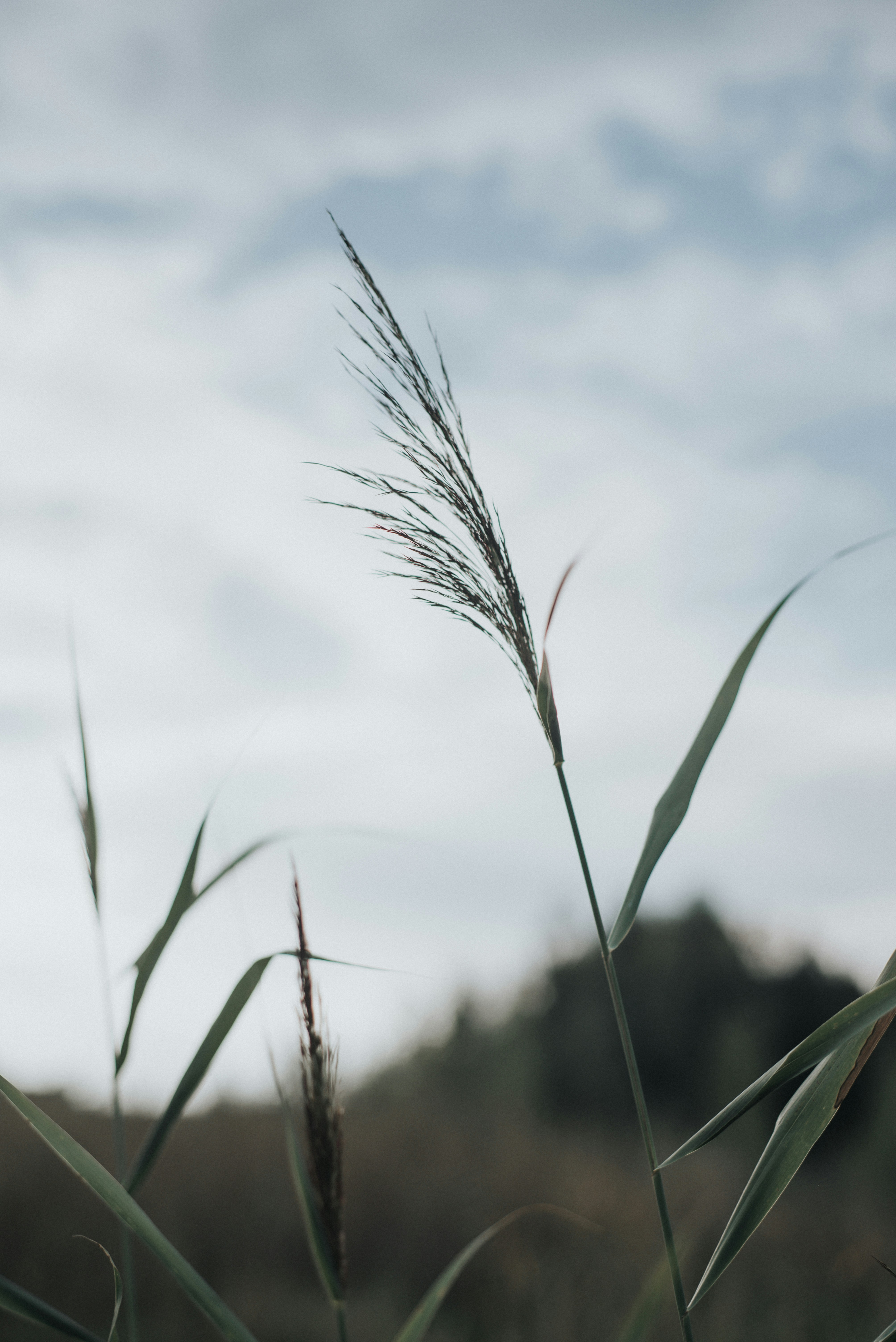 Photo by domowe_ustronie