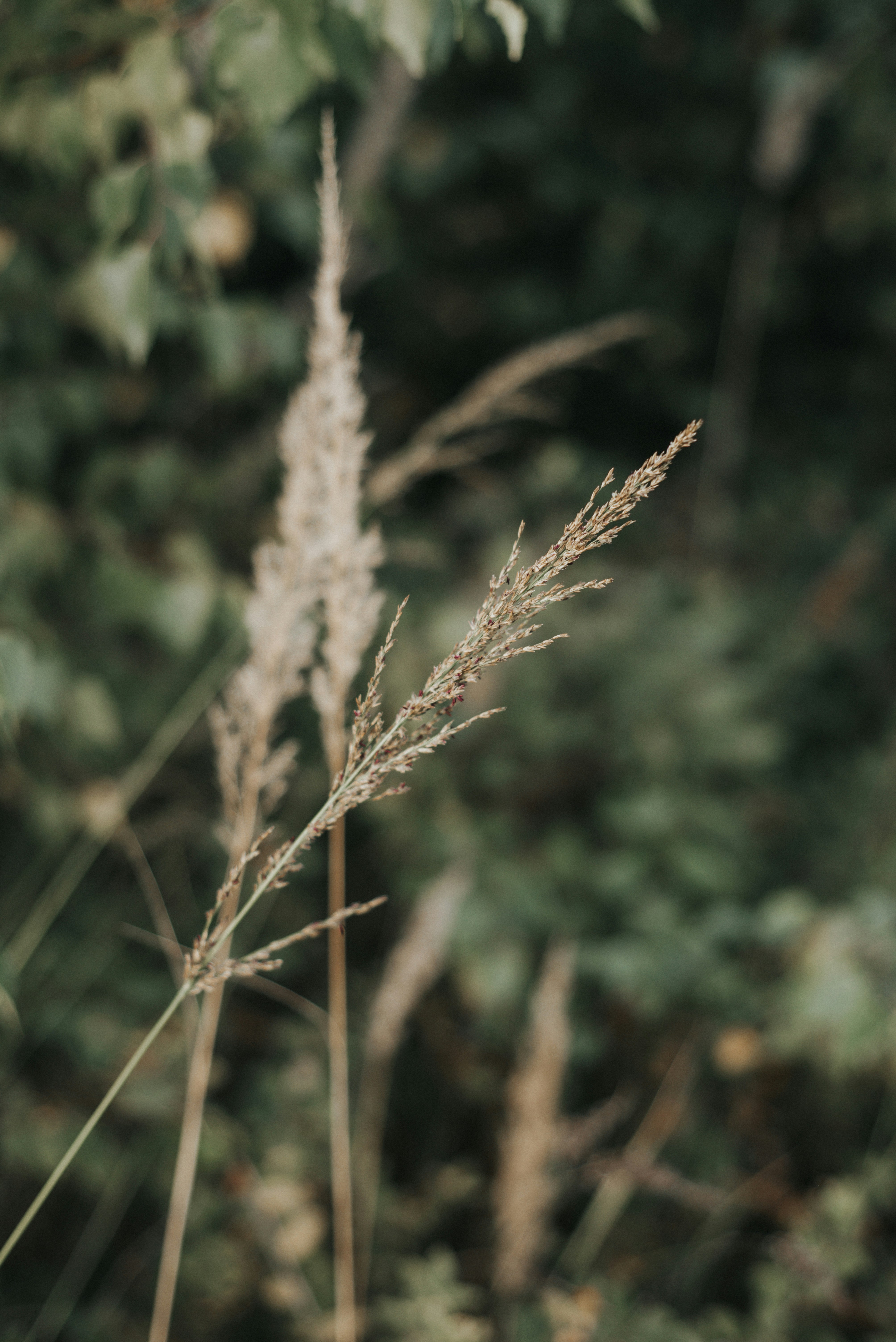 Photo by domowe_ustronie