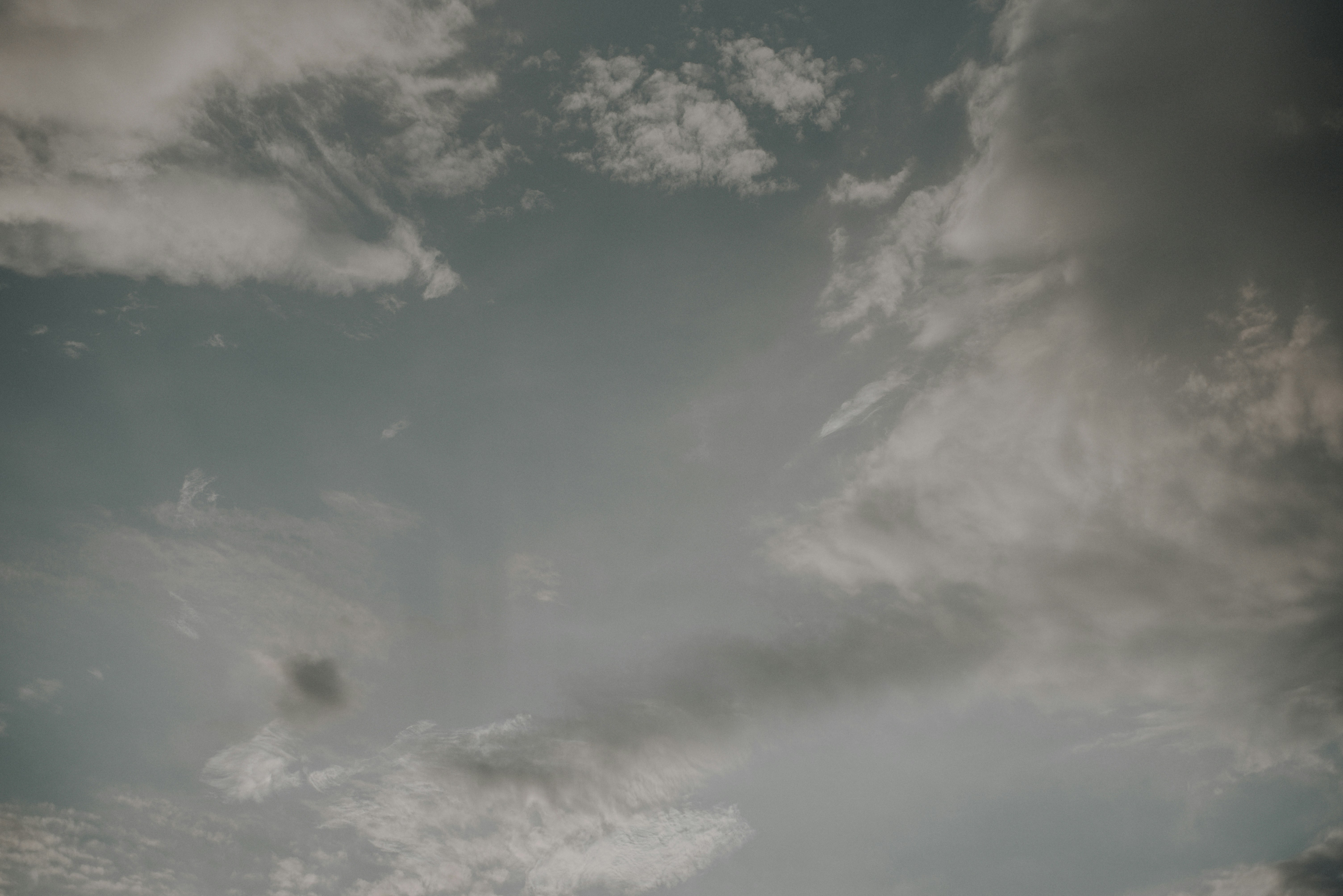 Are Oxalates A Factor In Chronic Sinus Issues?