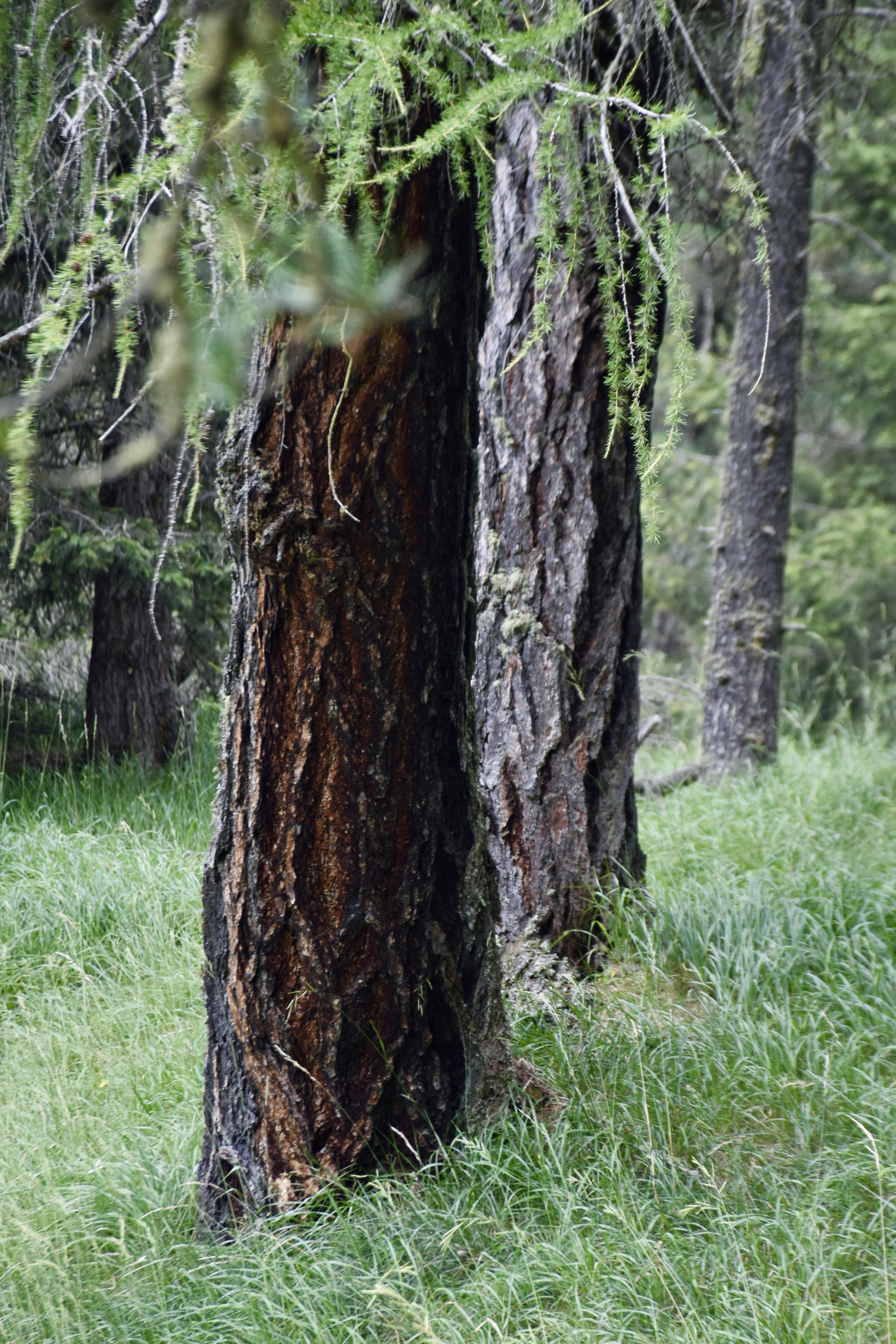 Photo by arnosenoner