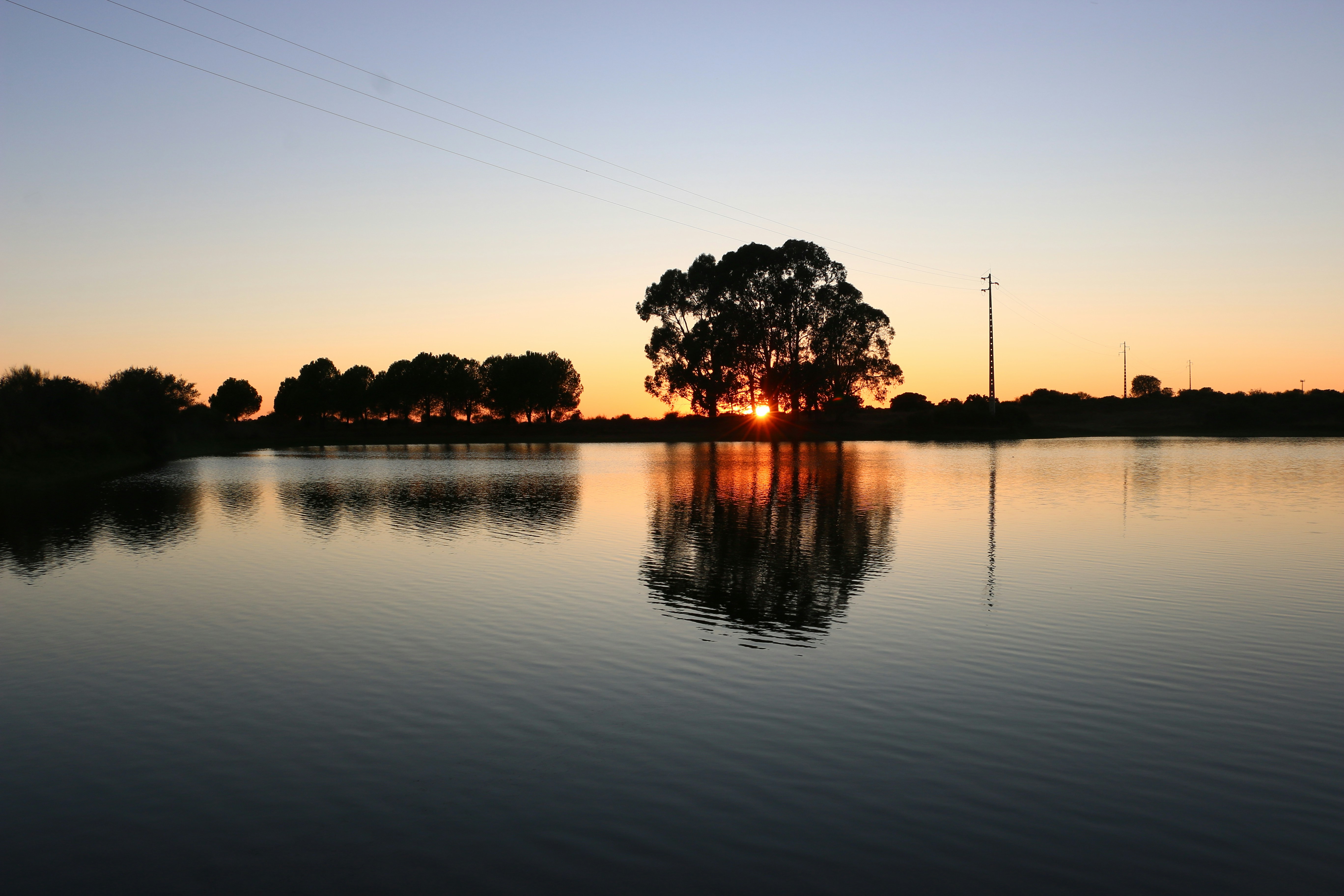 Photo by serranonline