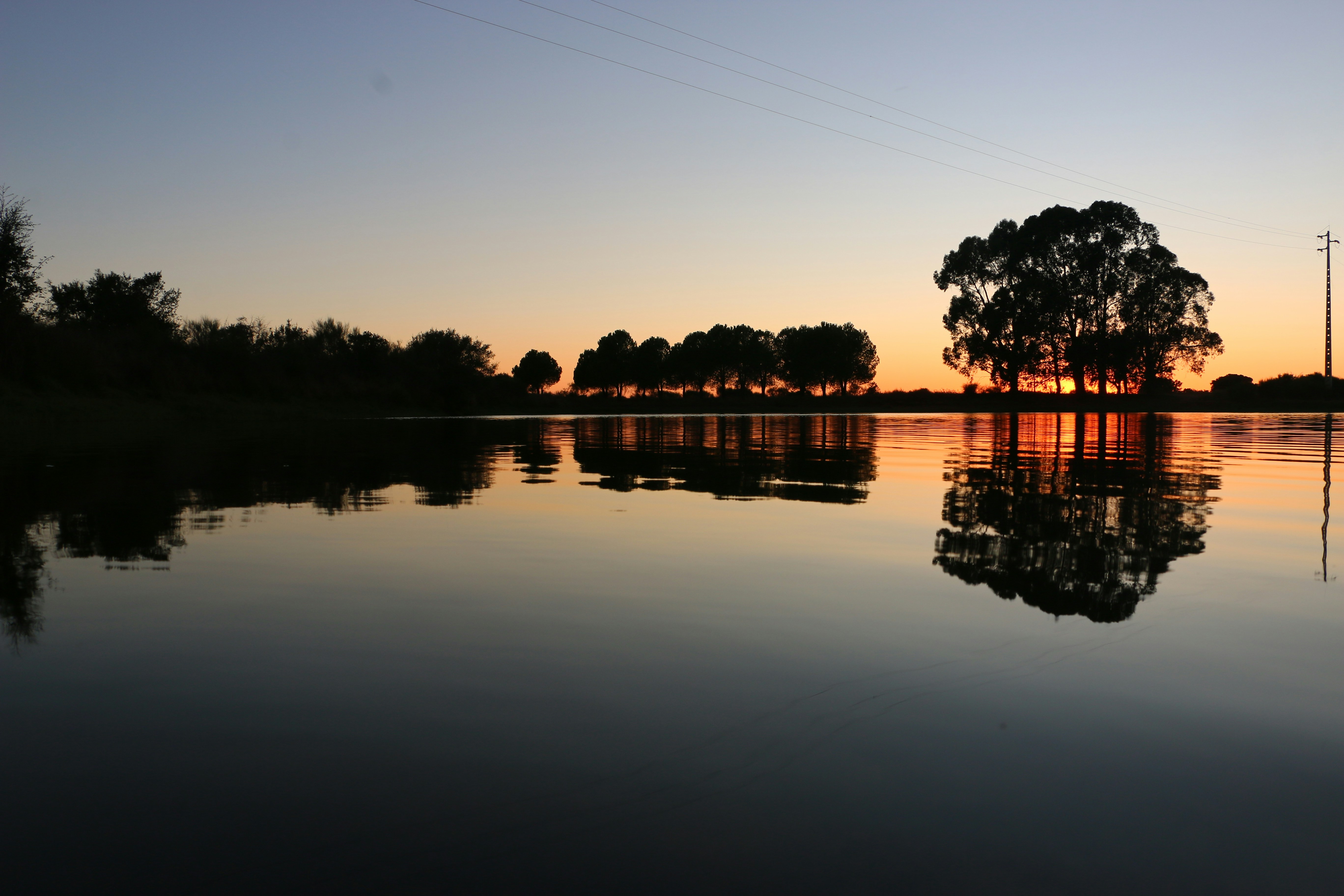 Photo by serranonline