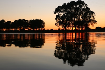 A large body of water with trees in the background