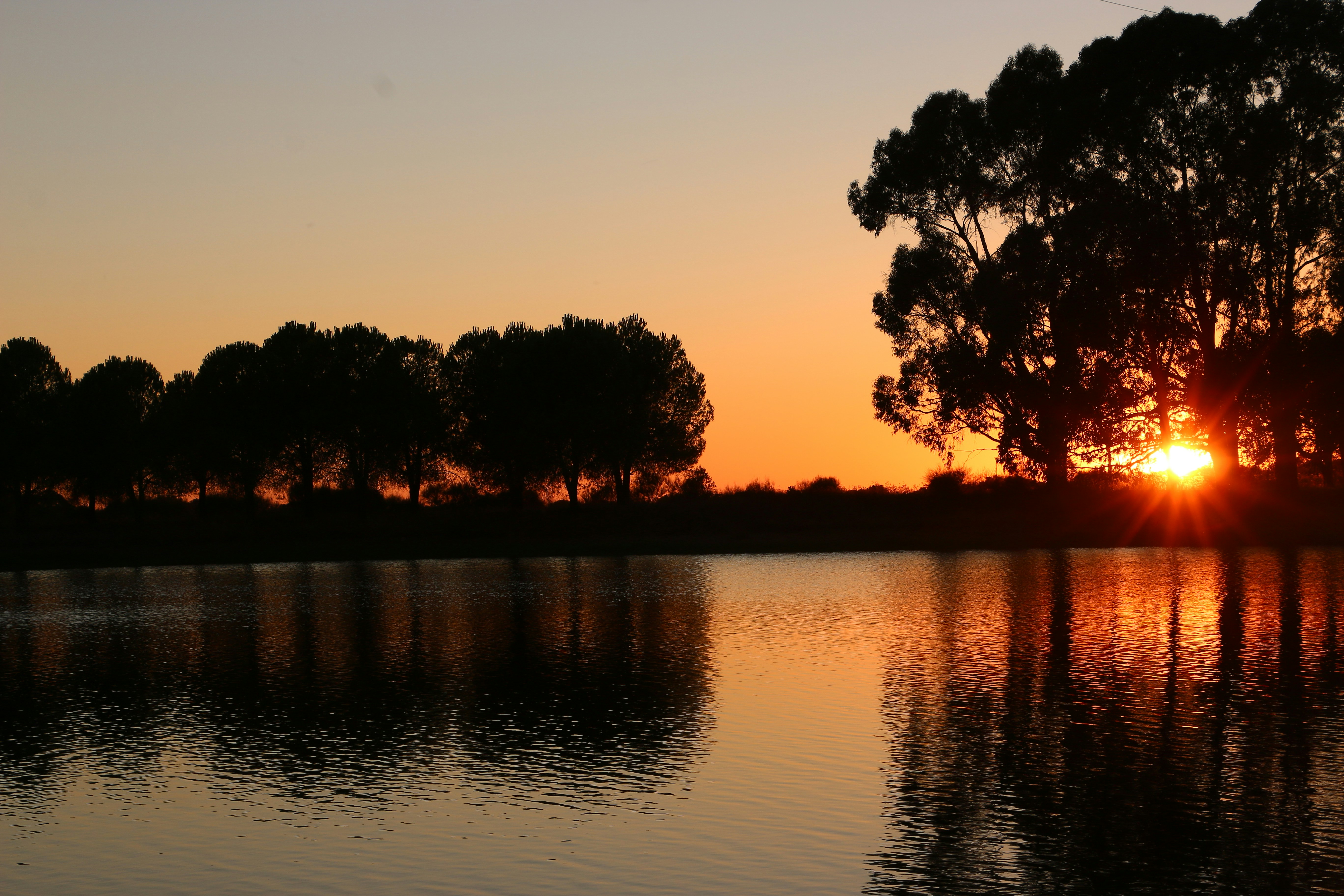 Photo by serranonline