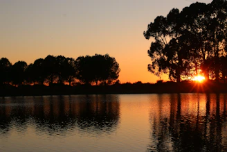 The sun is setting over a lake with trees in the background