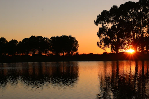 The sun is setting over a lake with trees in the background
