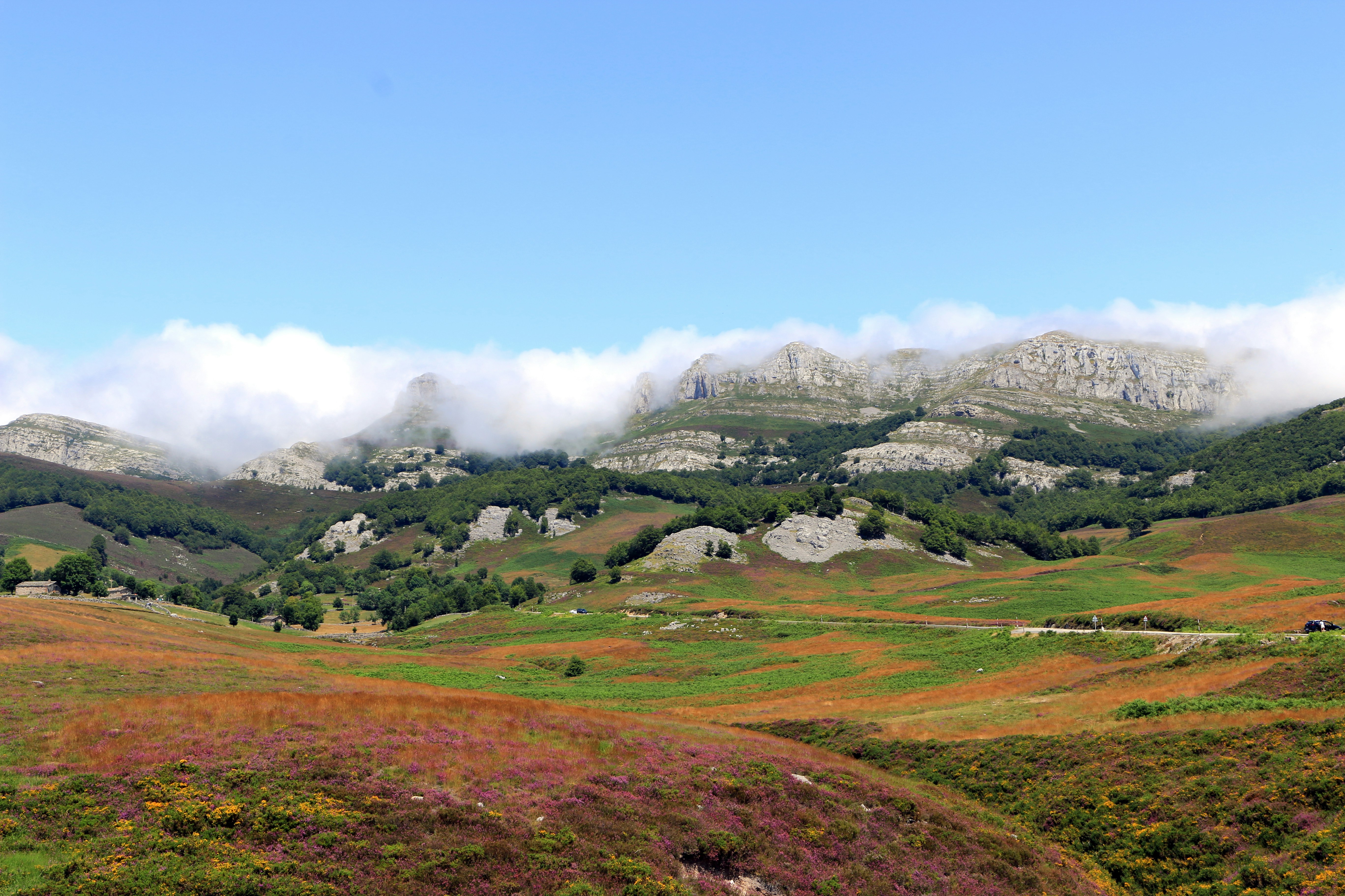 Vista de um vale com montanhas ao fundo