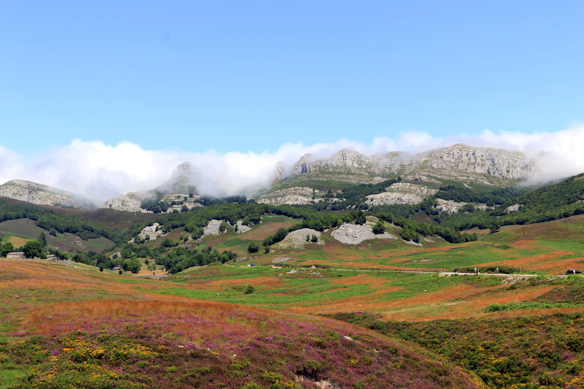 Montañas cubiertas de nubes sobre prados y bosque