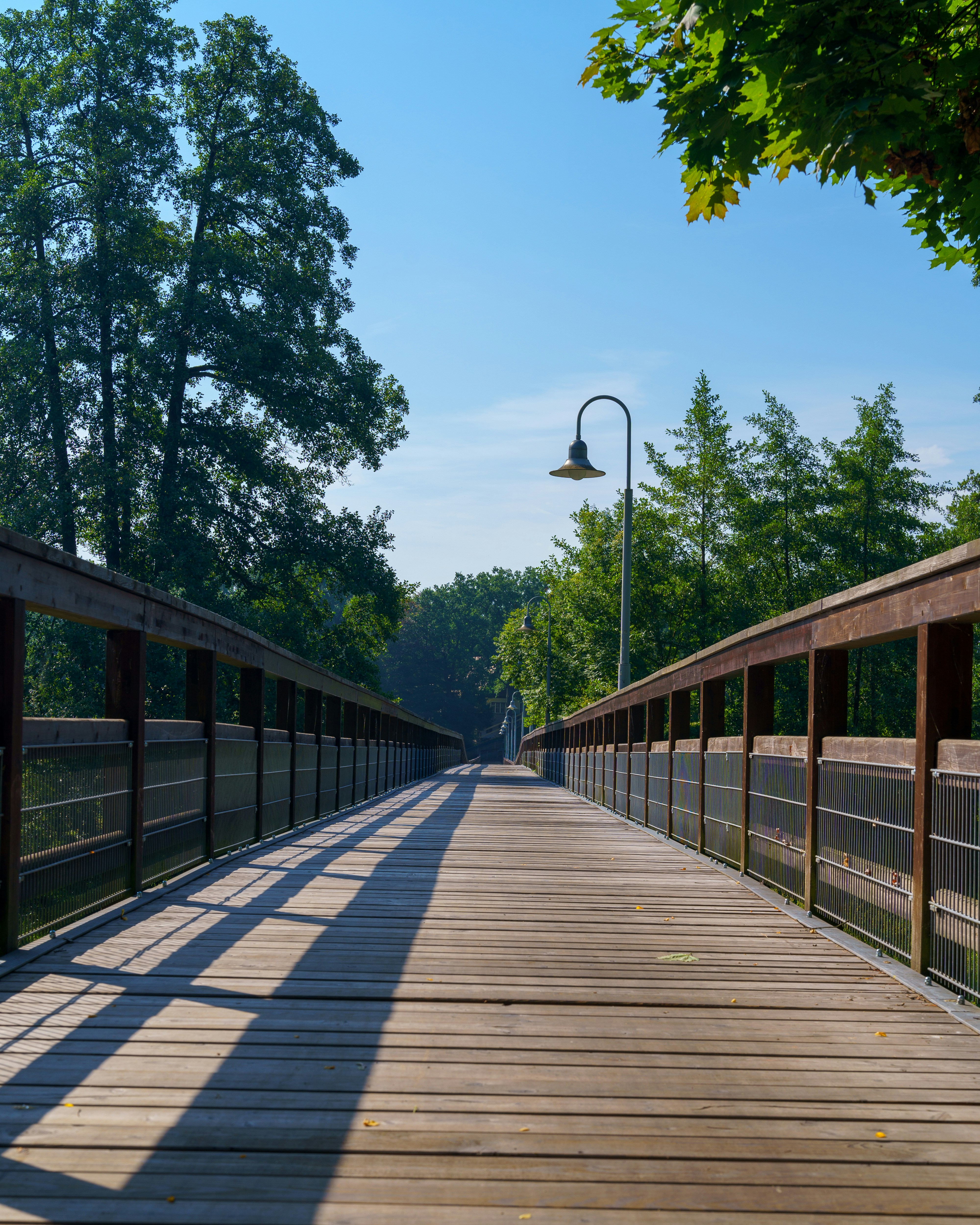 Photo by bangscreative