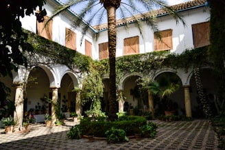 A courtyard with a palm tree in the middle