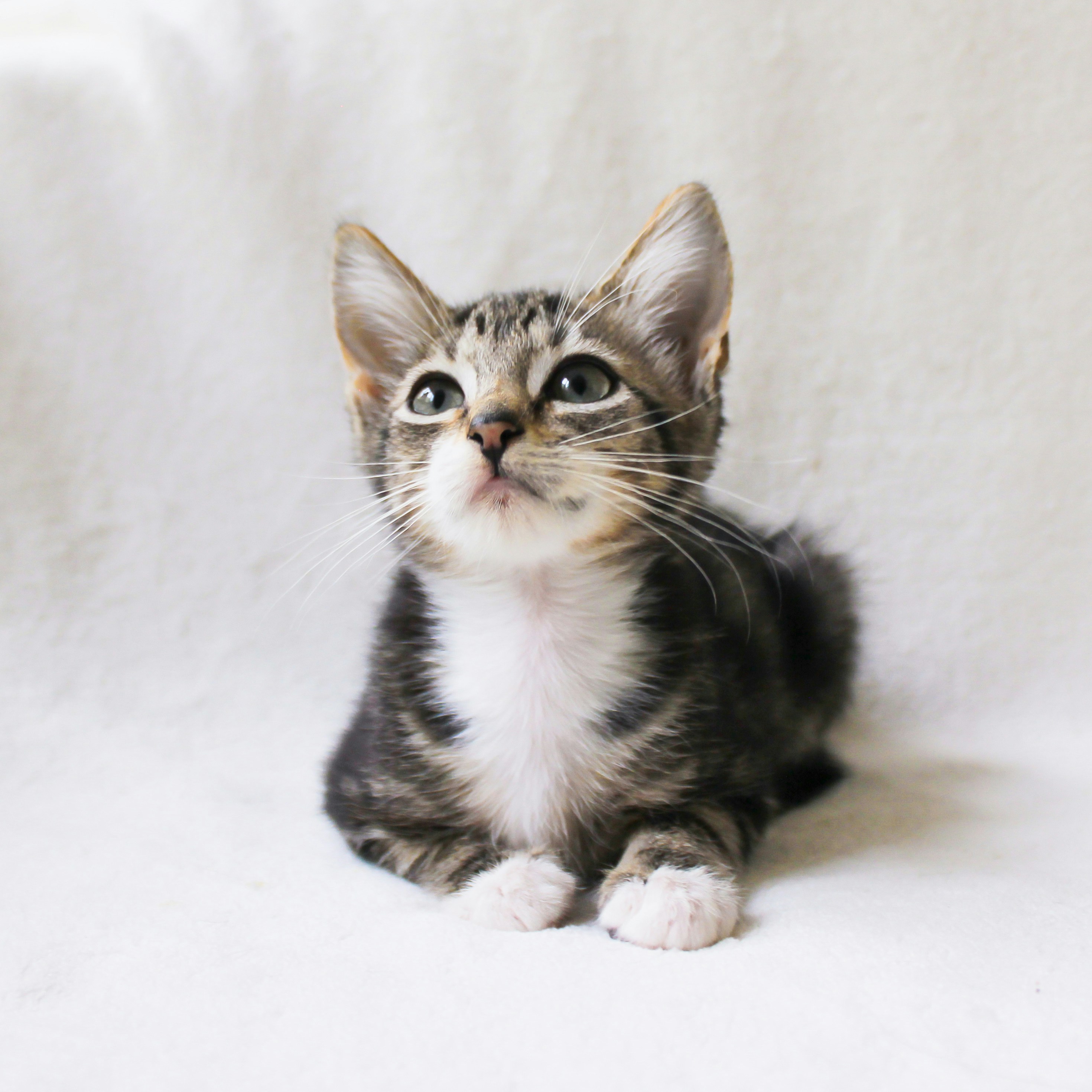 Photo by theluckyneko