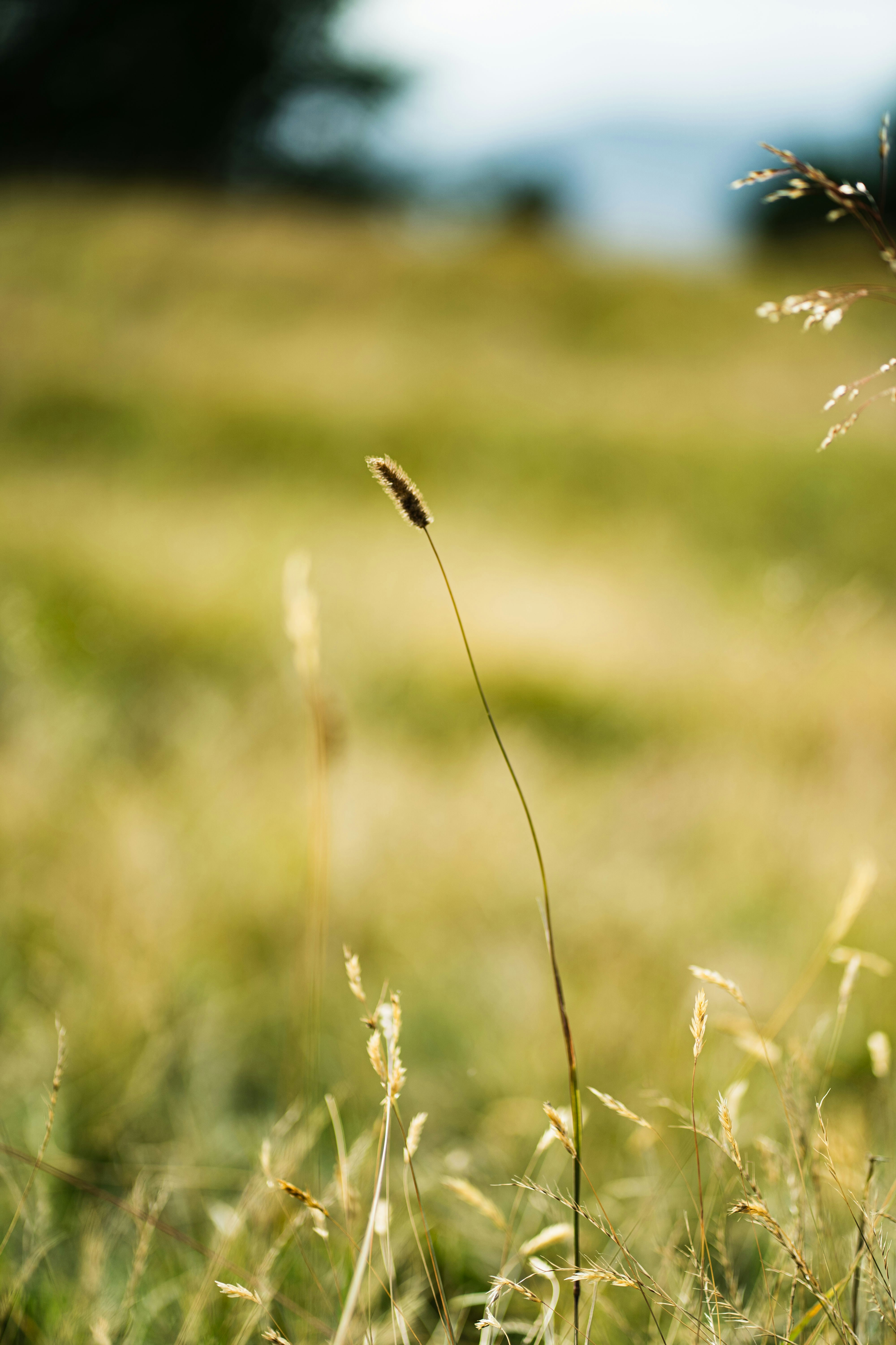 Photo by kishorevaddadi