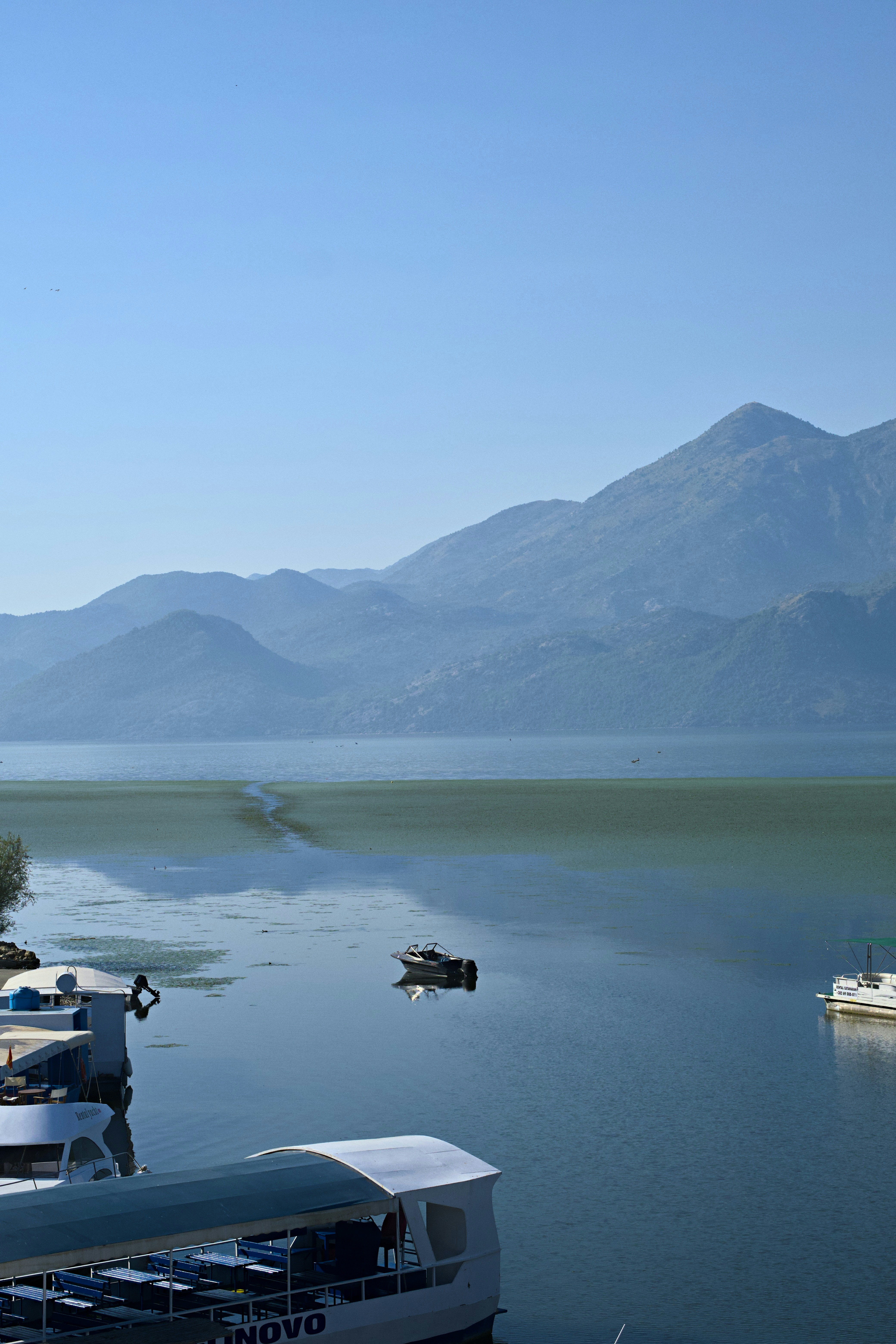 Photo by alexxingplus