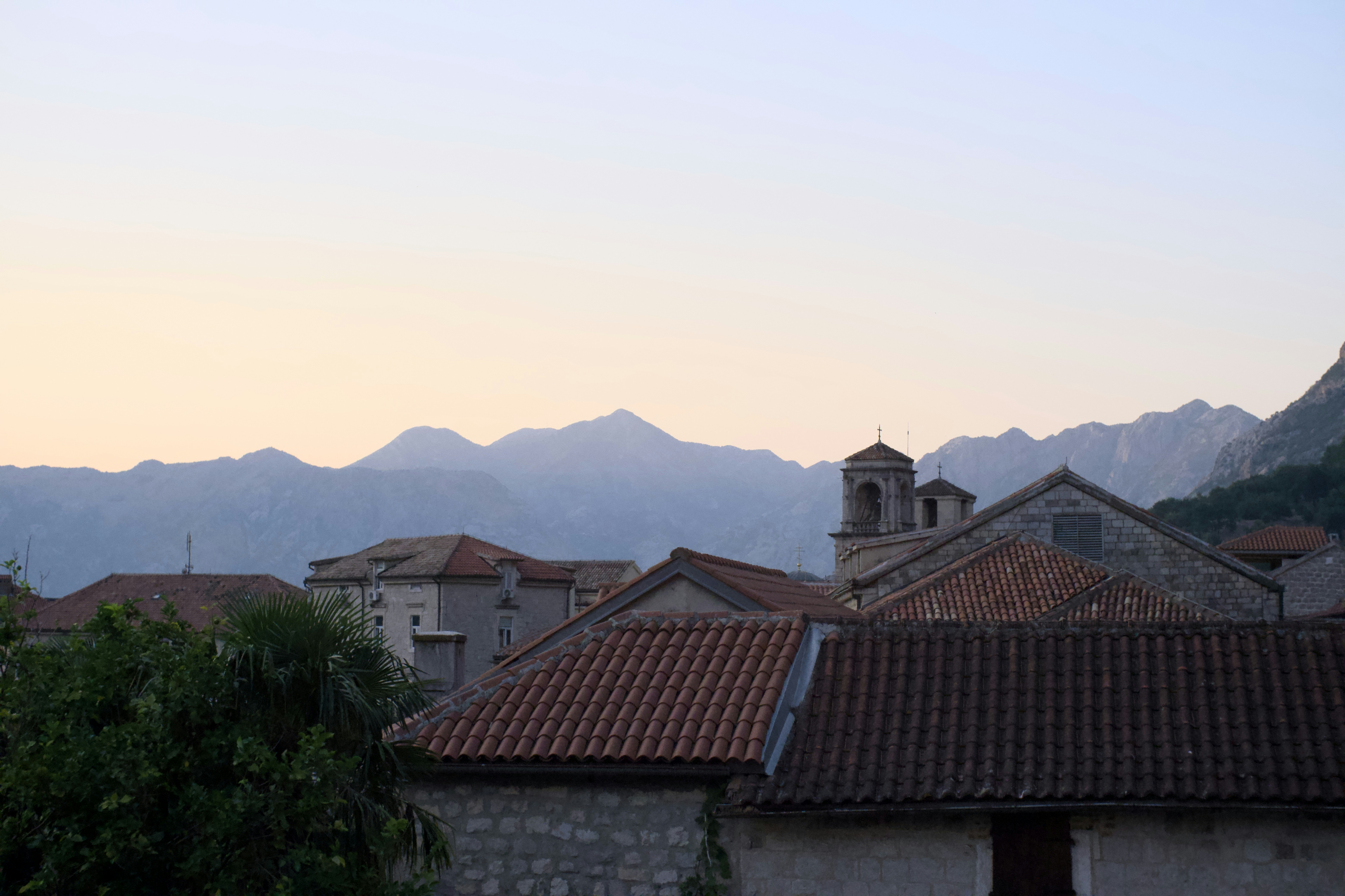 Photo by alexxingplus