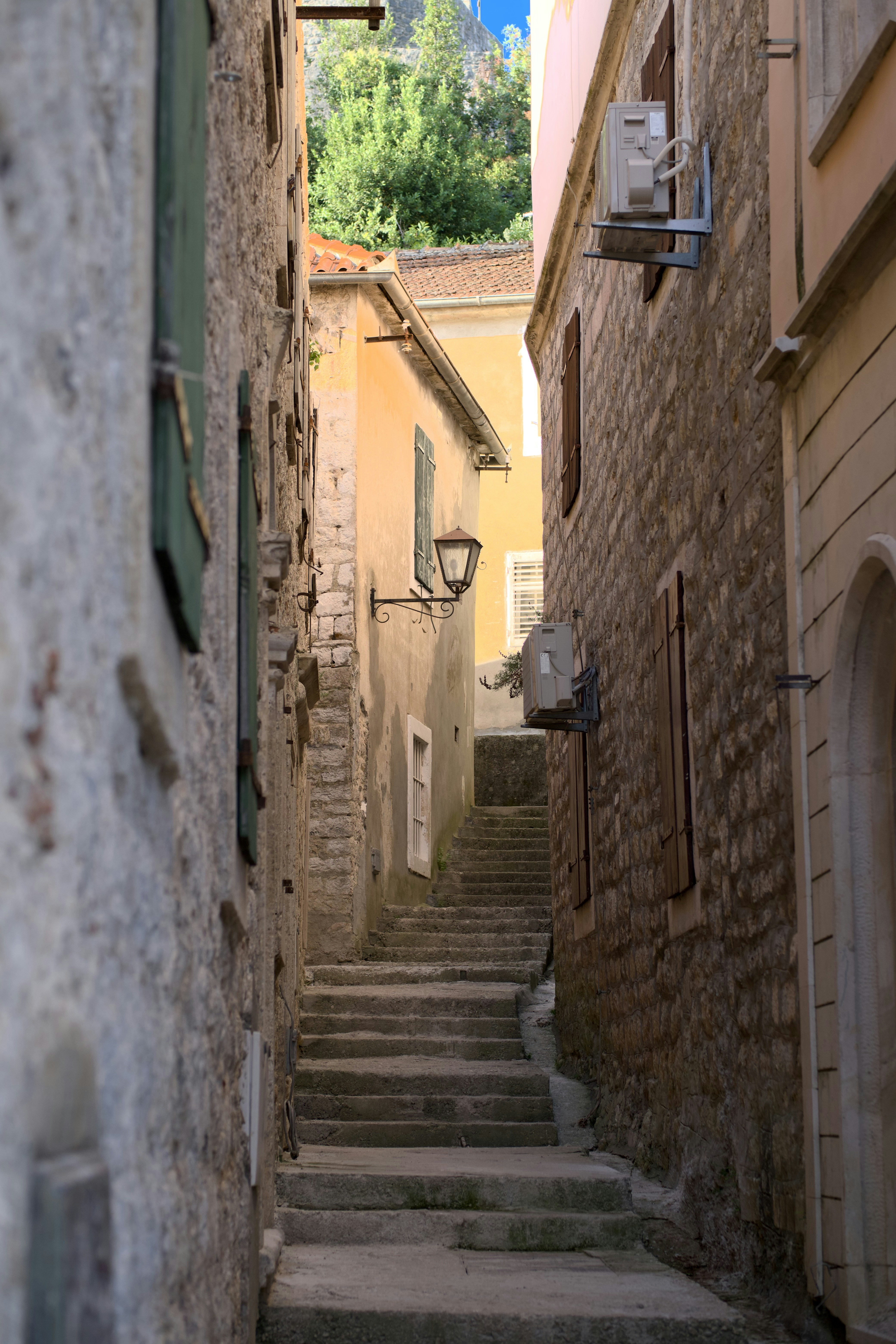 Photo by alexxingplus