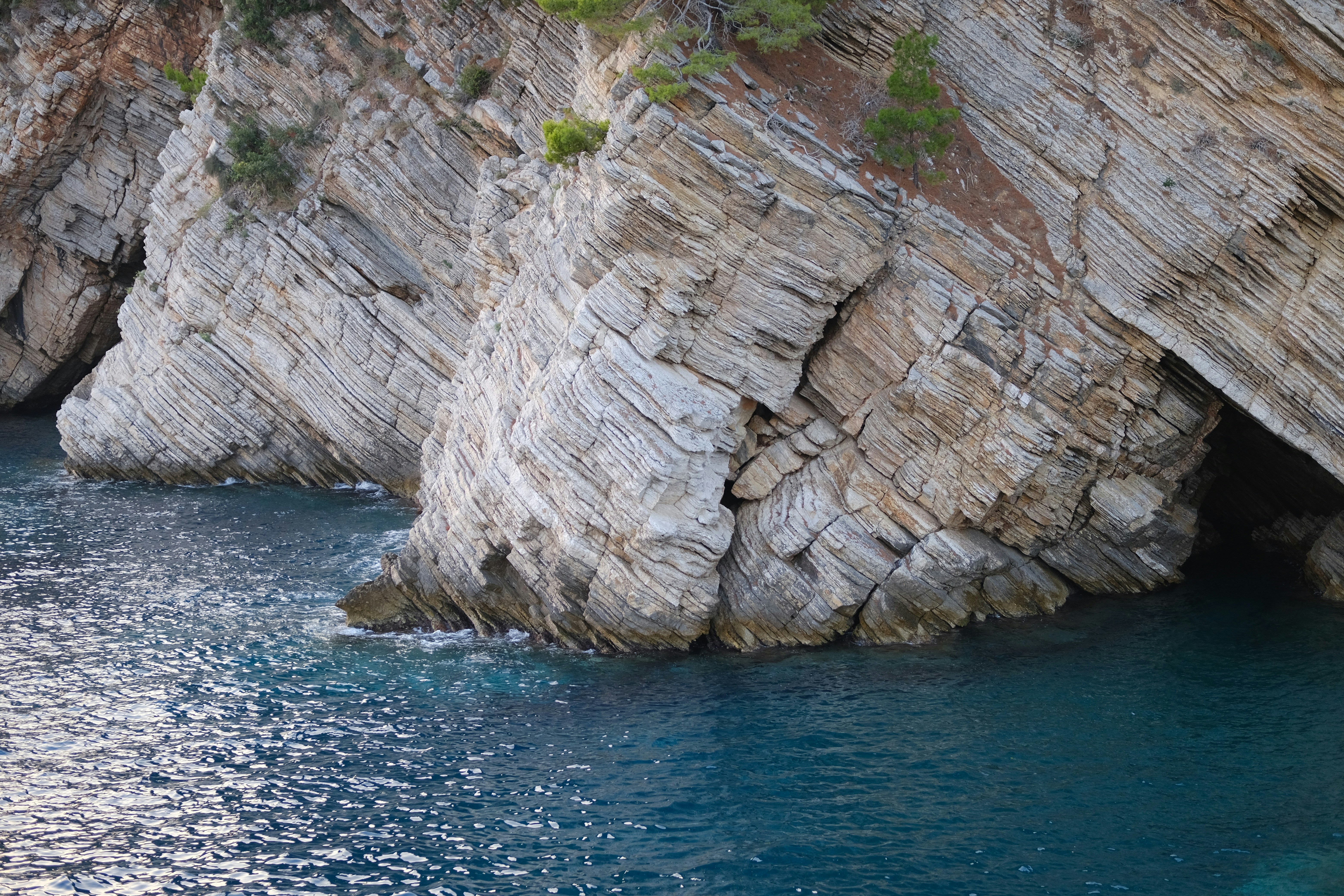 Photo by alexxingplus